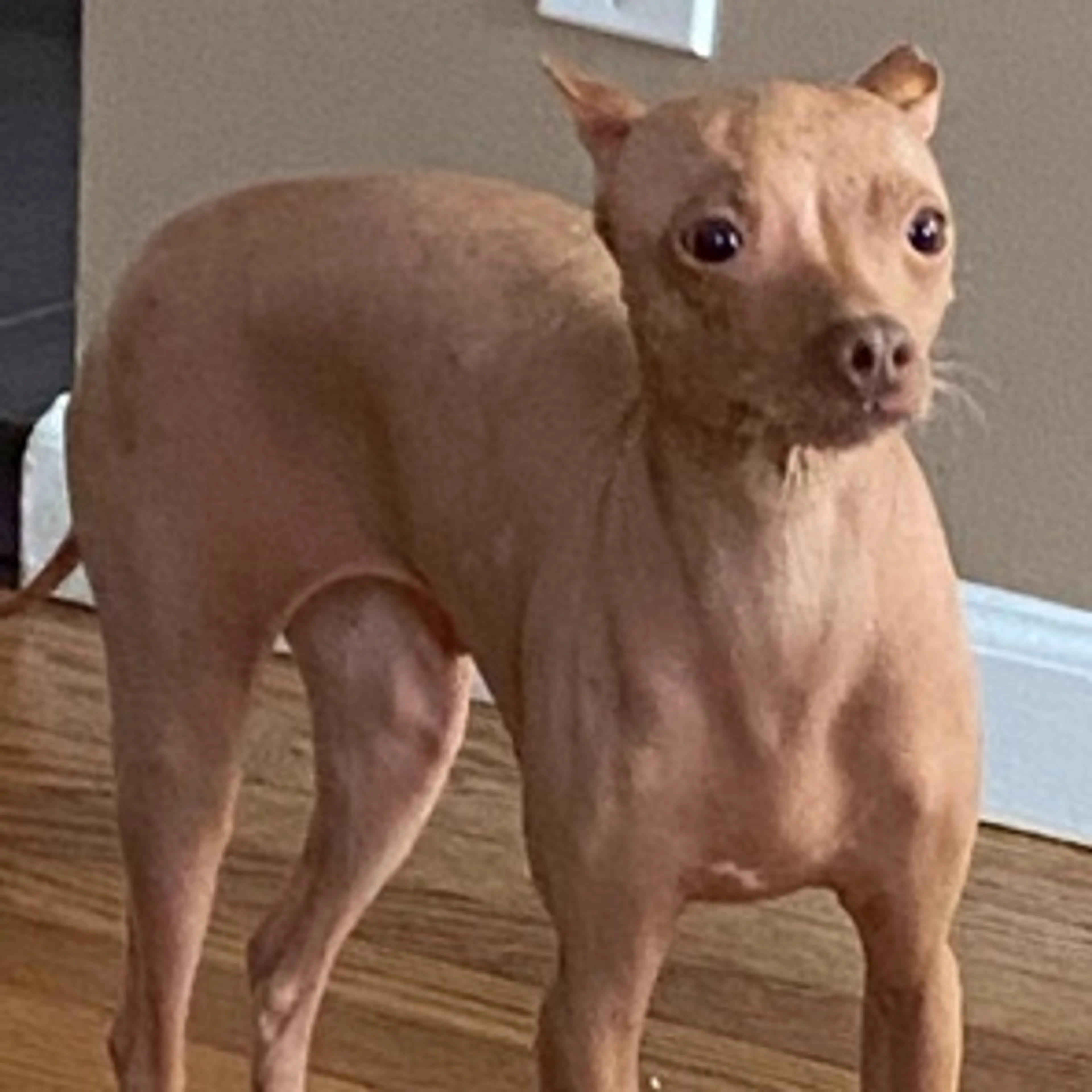 -0
