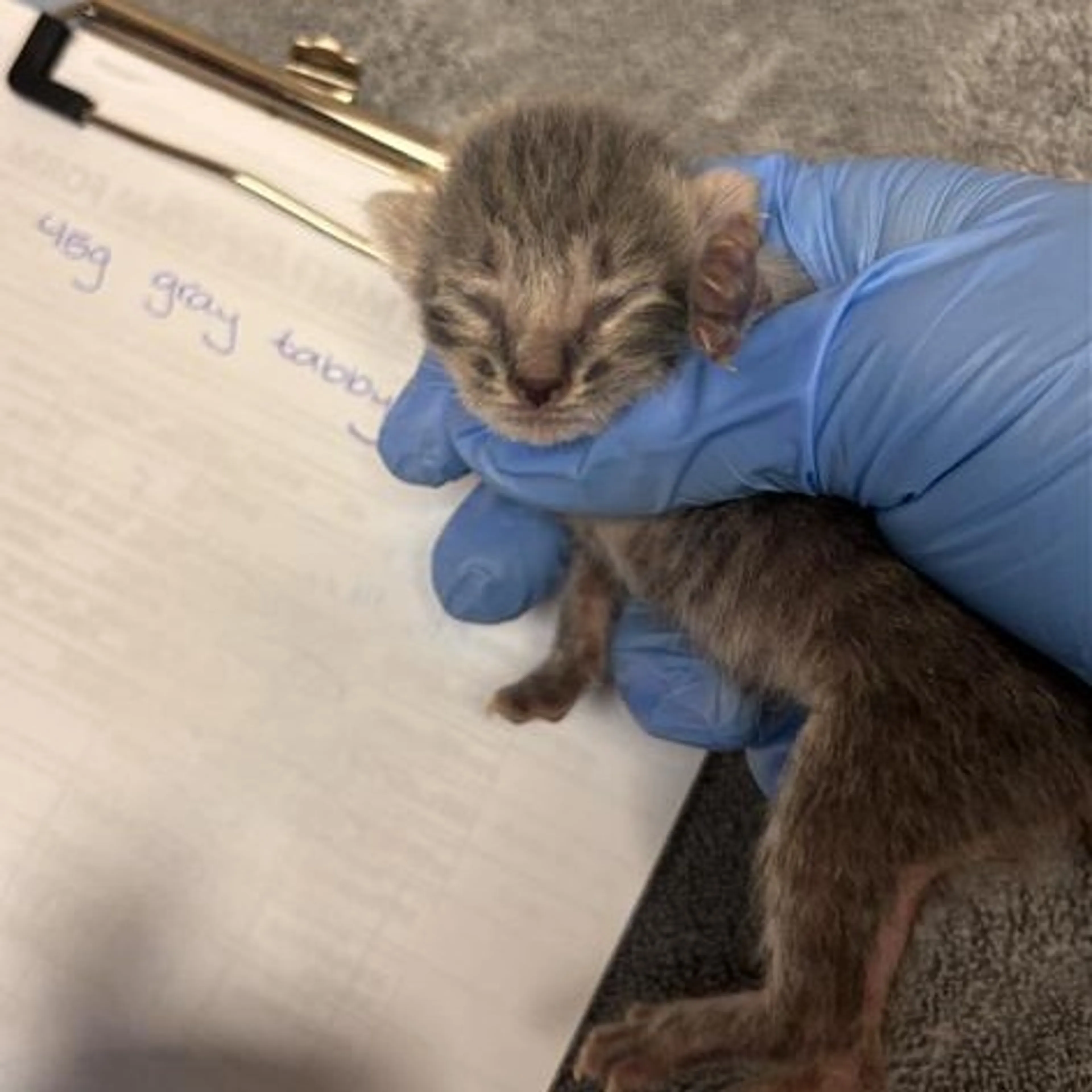 -1
