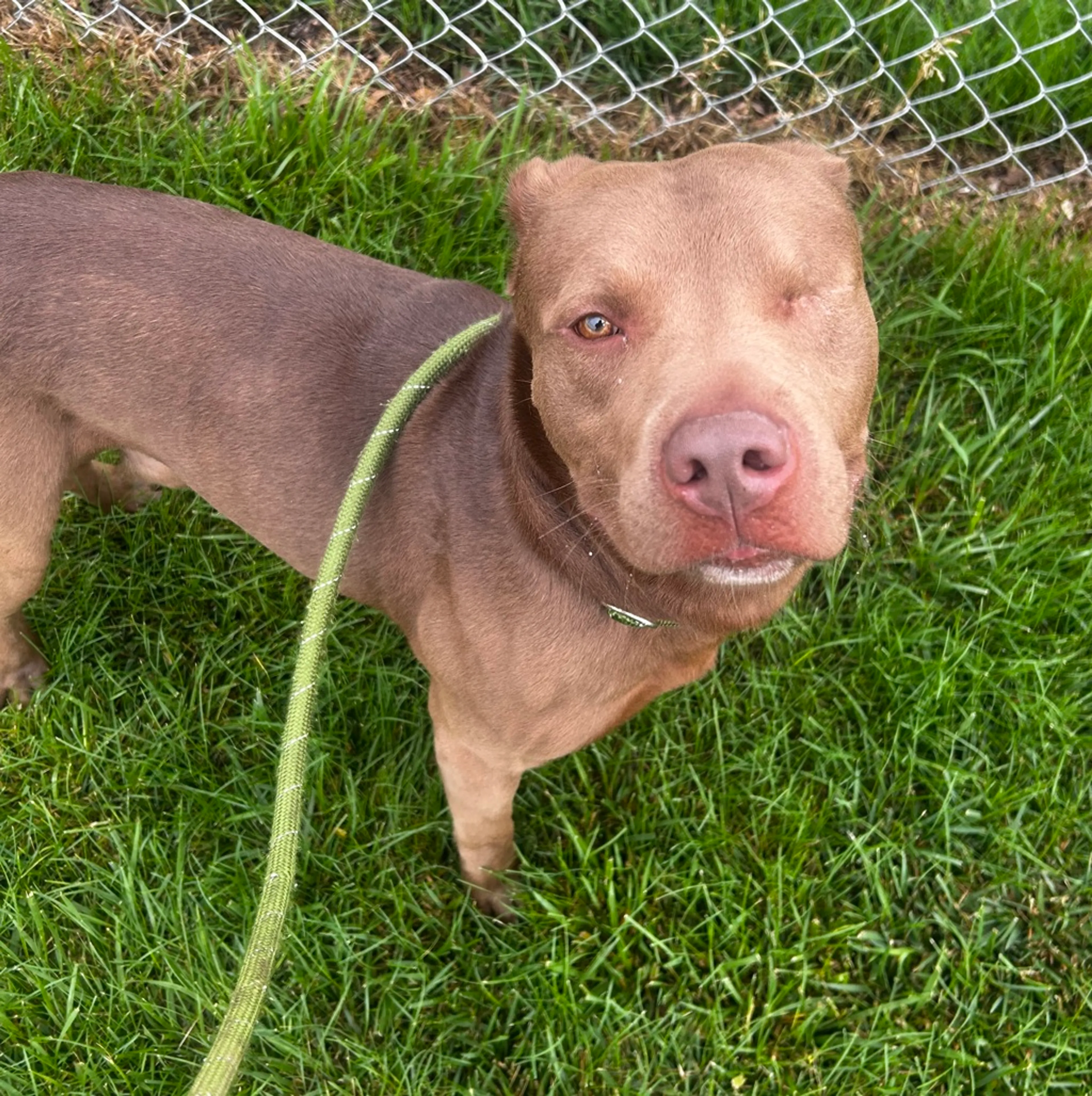 -1