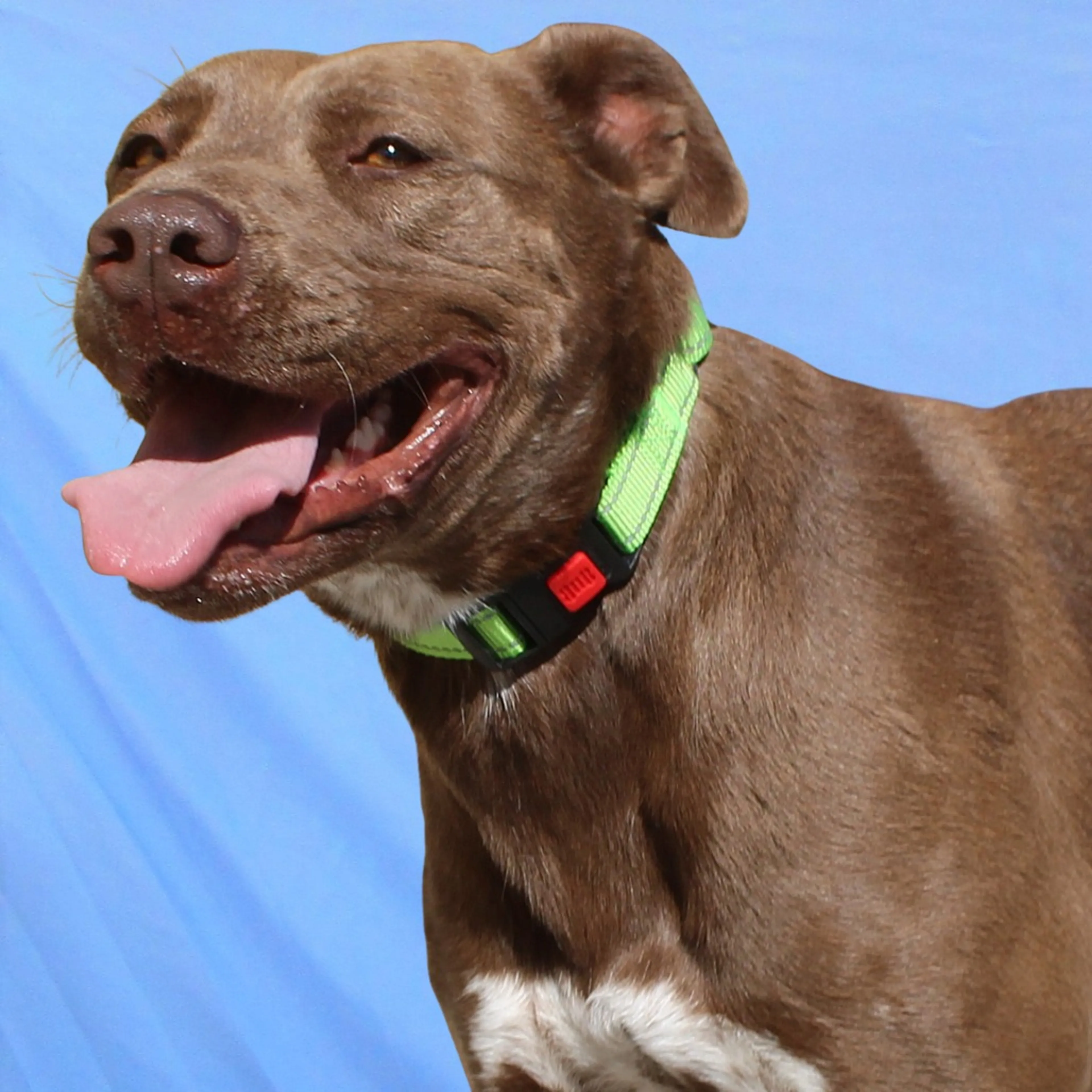 cdn image