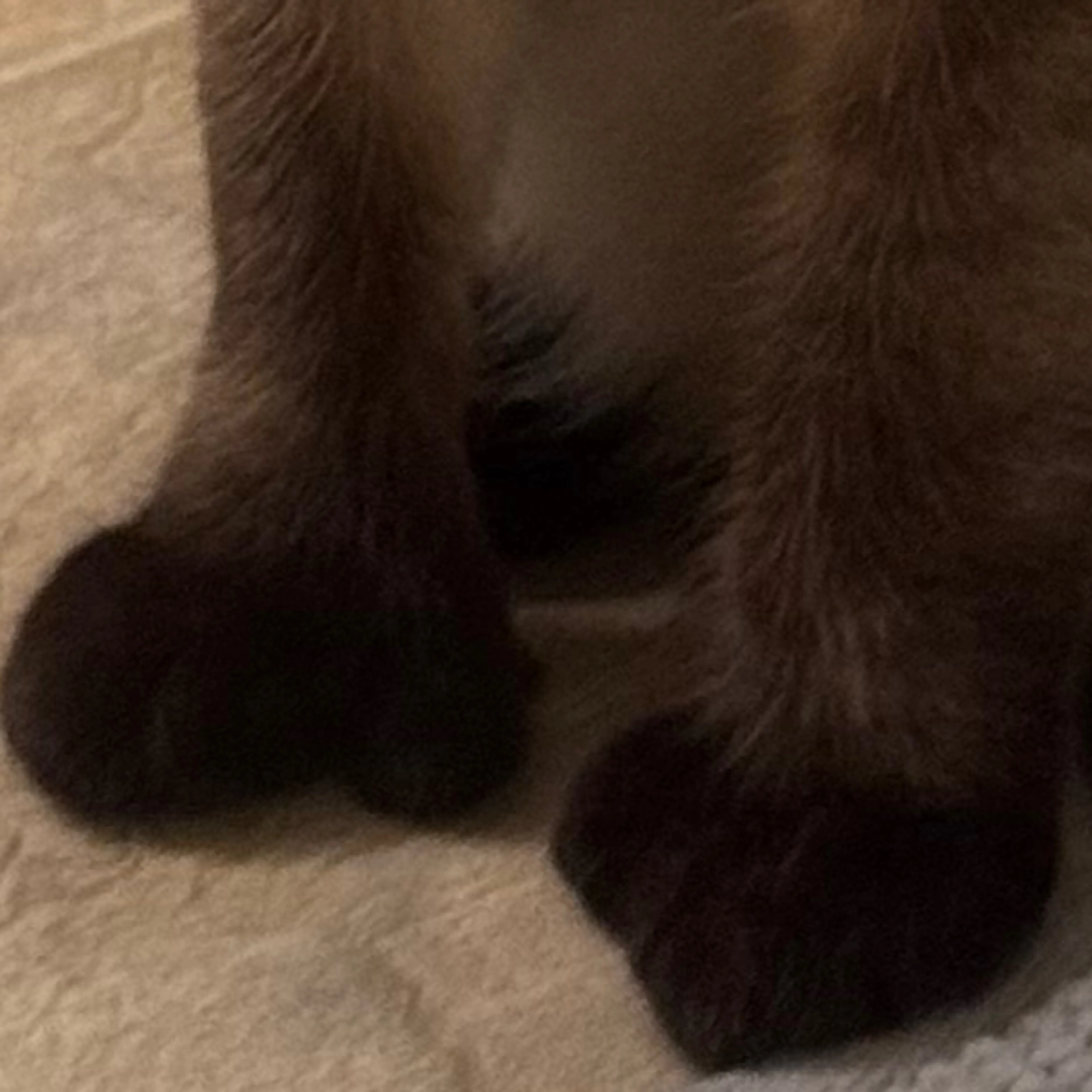 -3