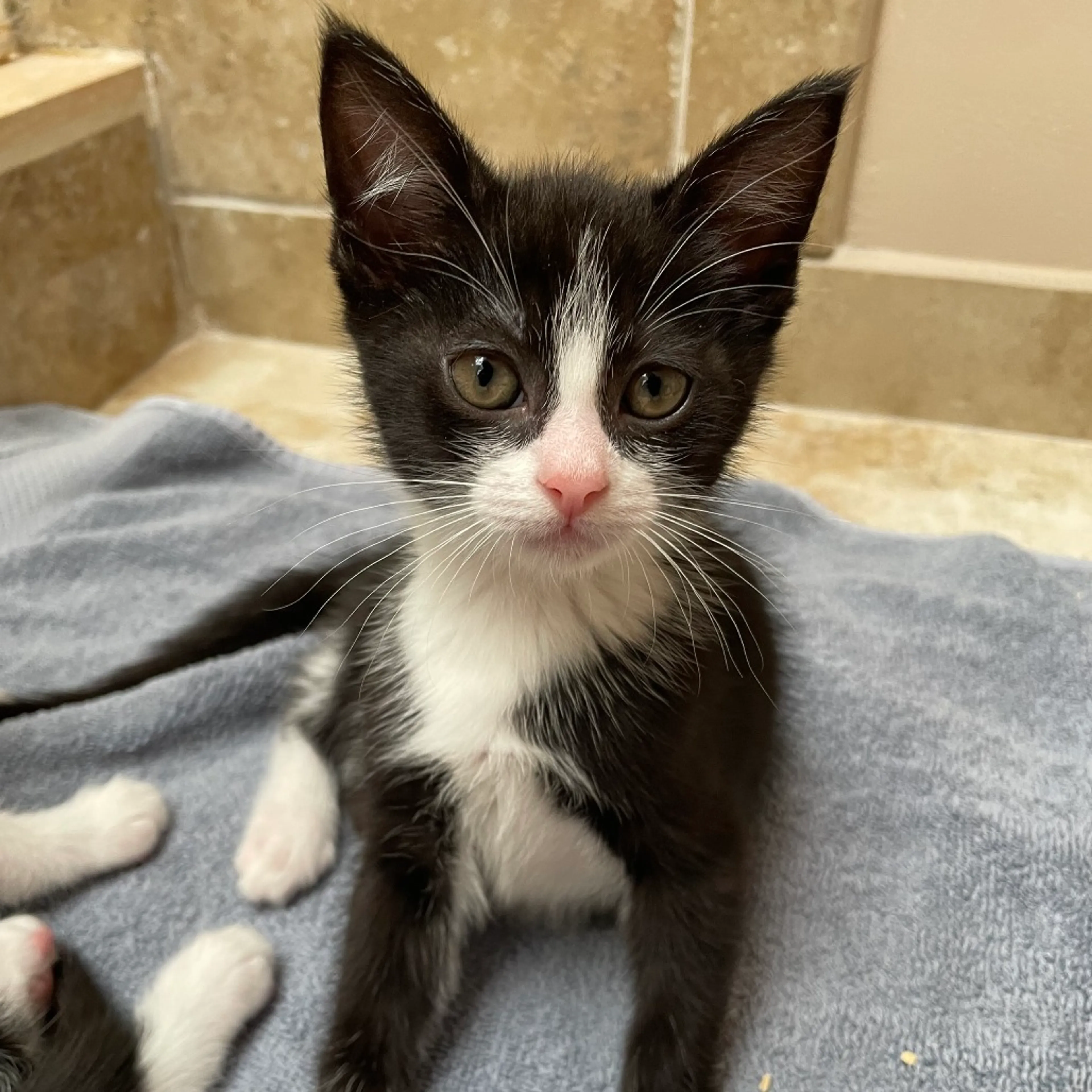 -0