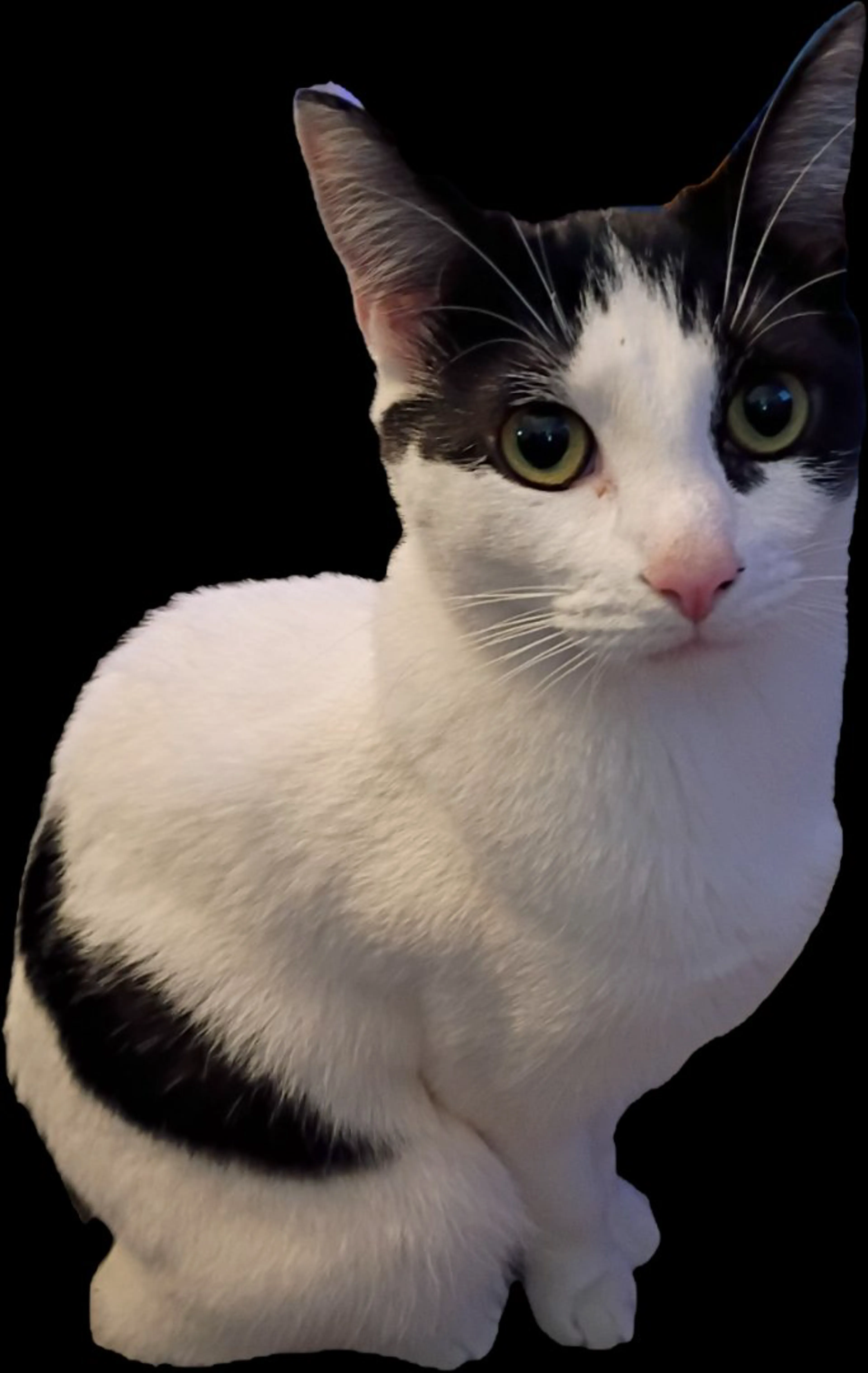 -0