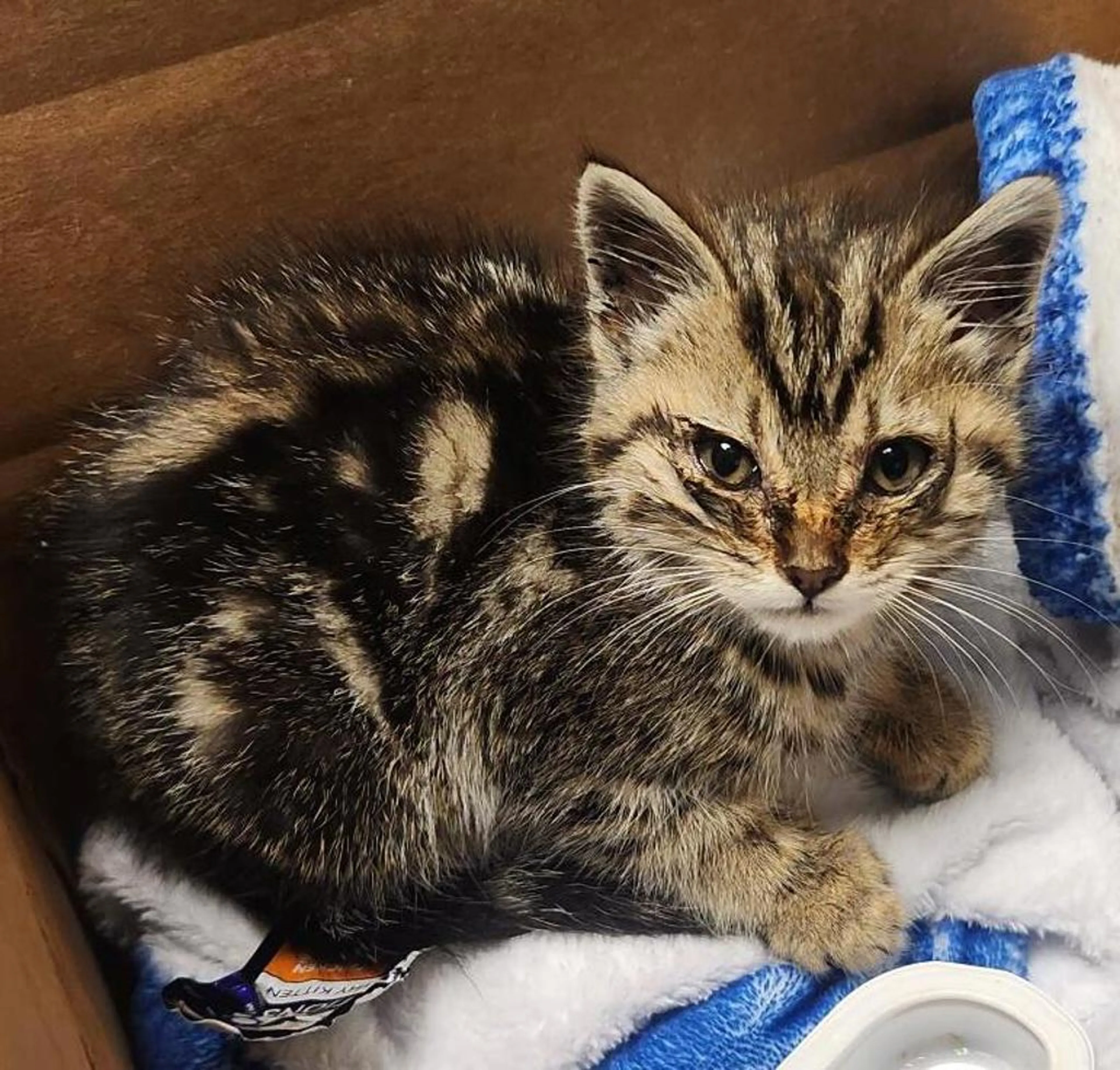 -1