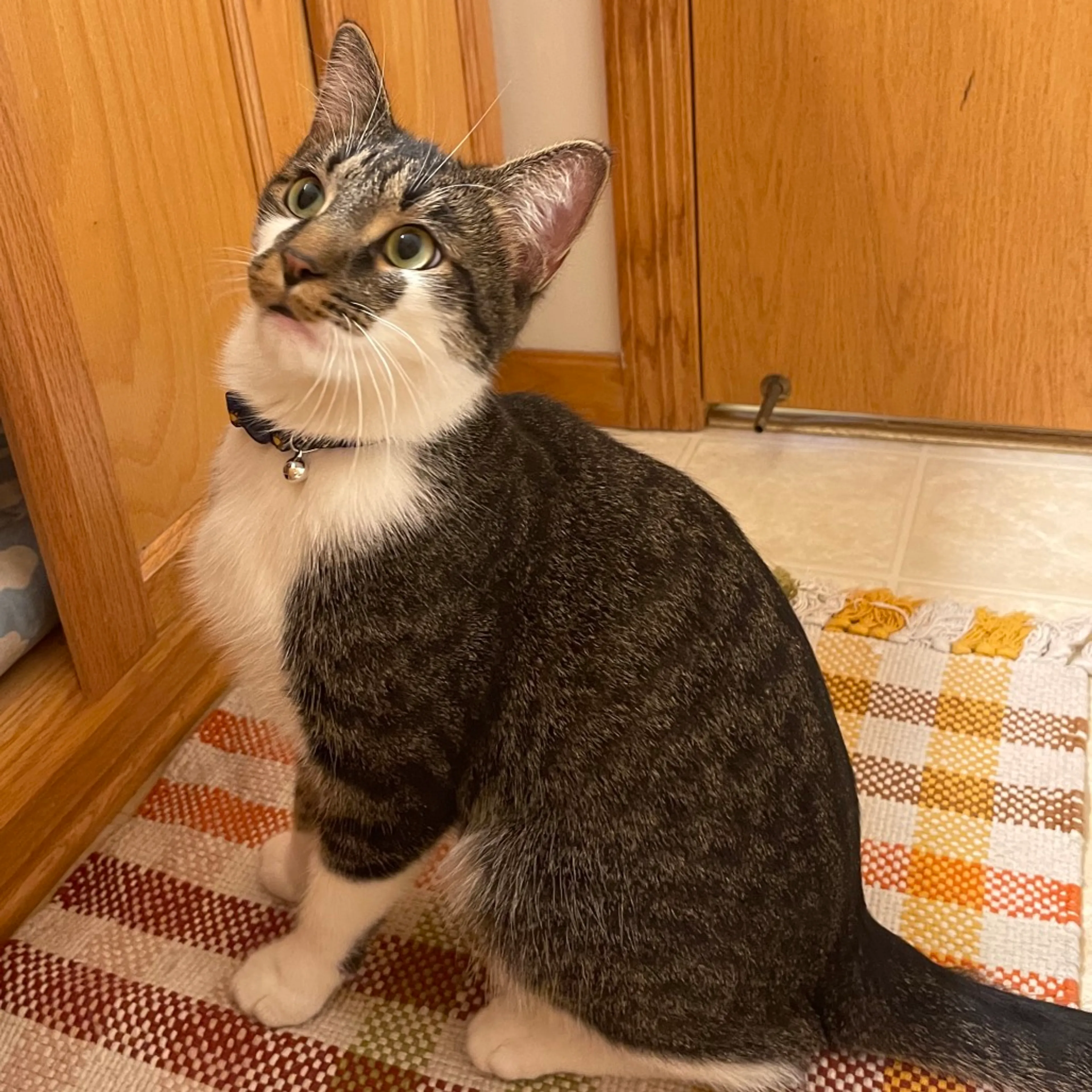 -6