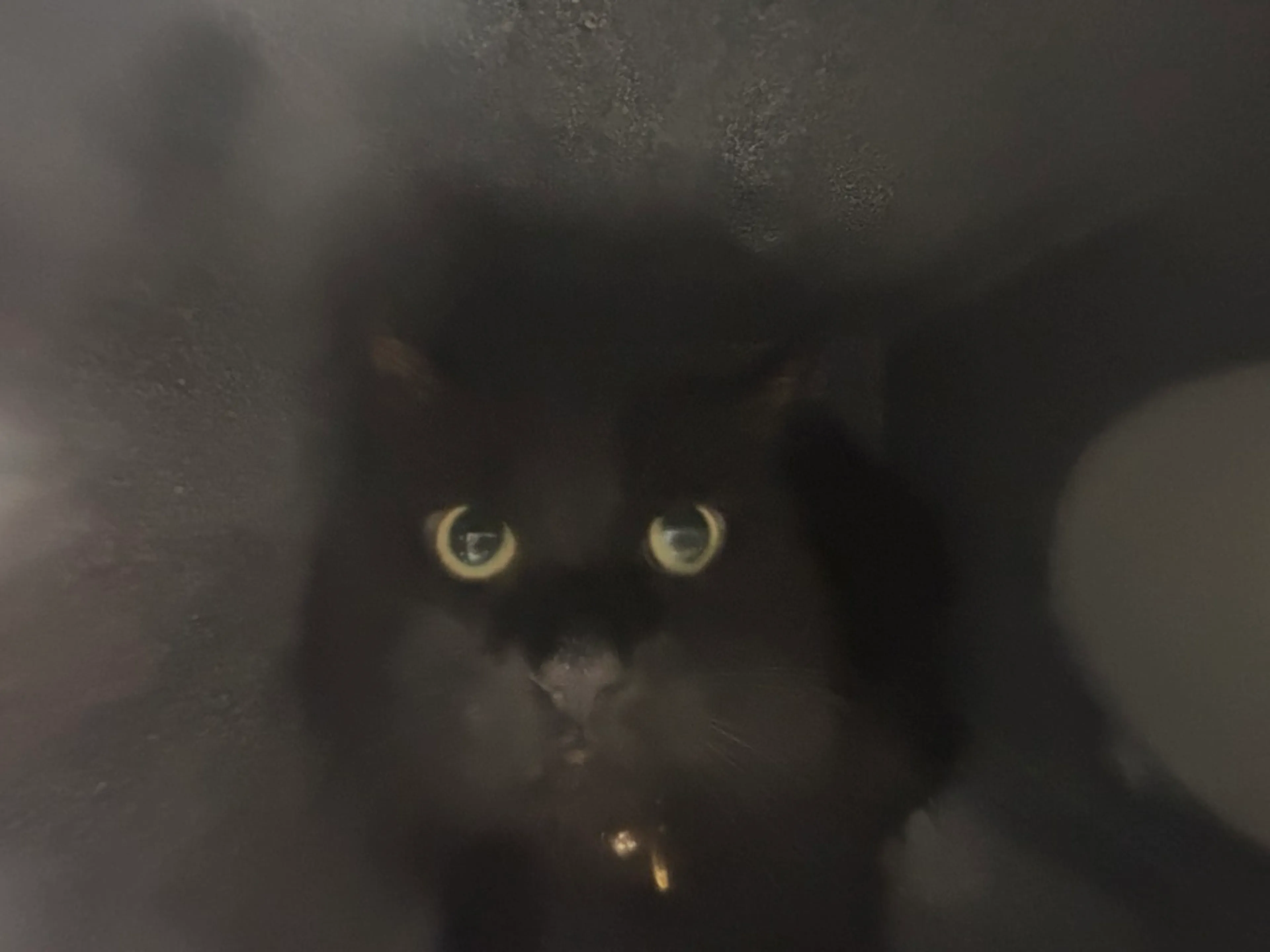 -0