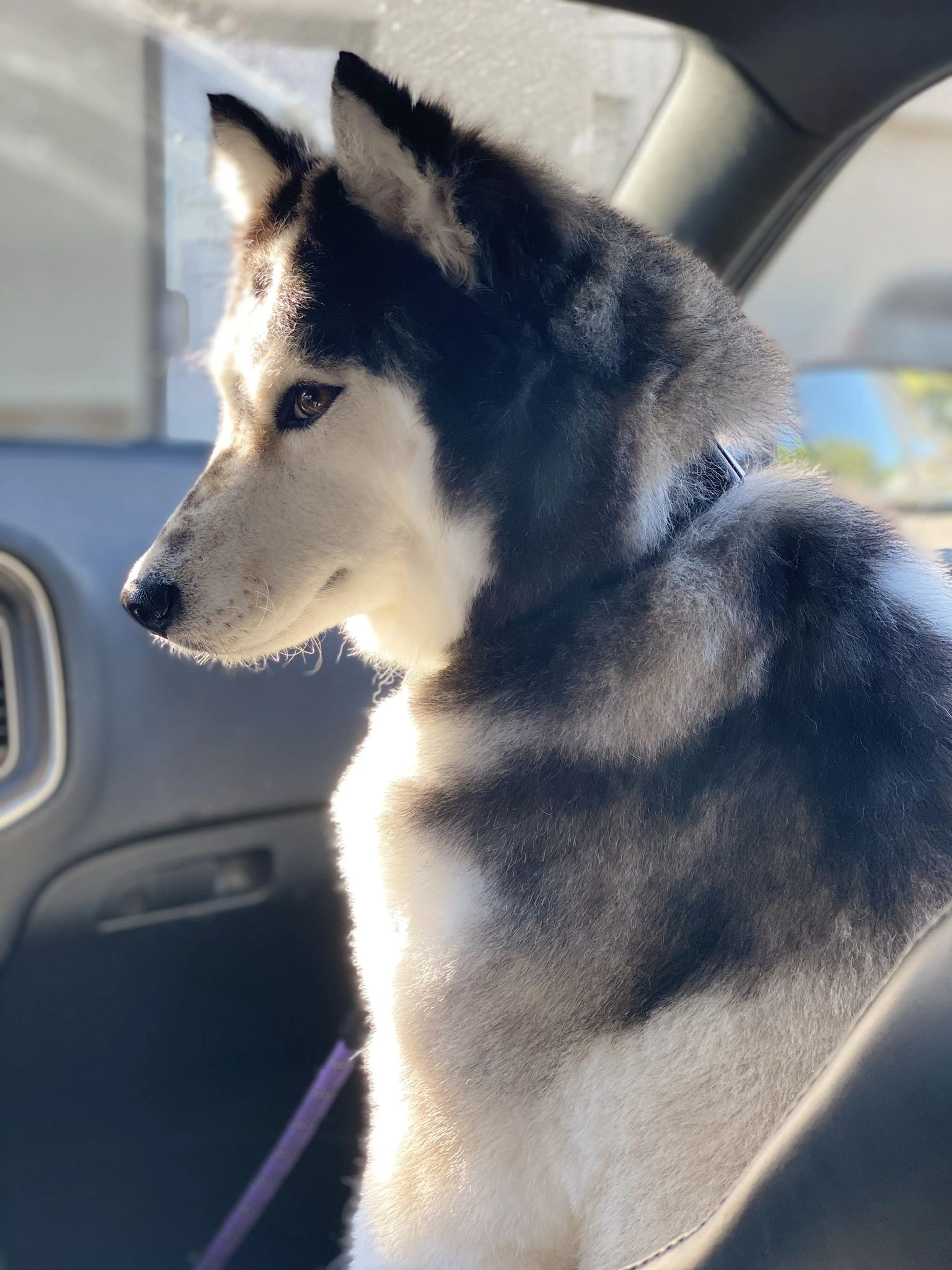 -0