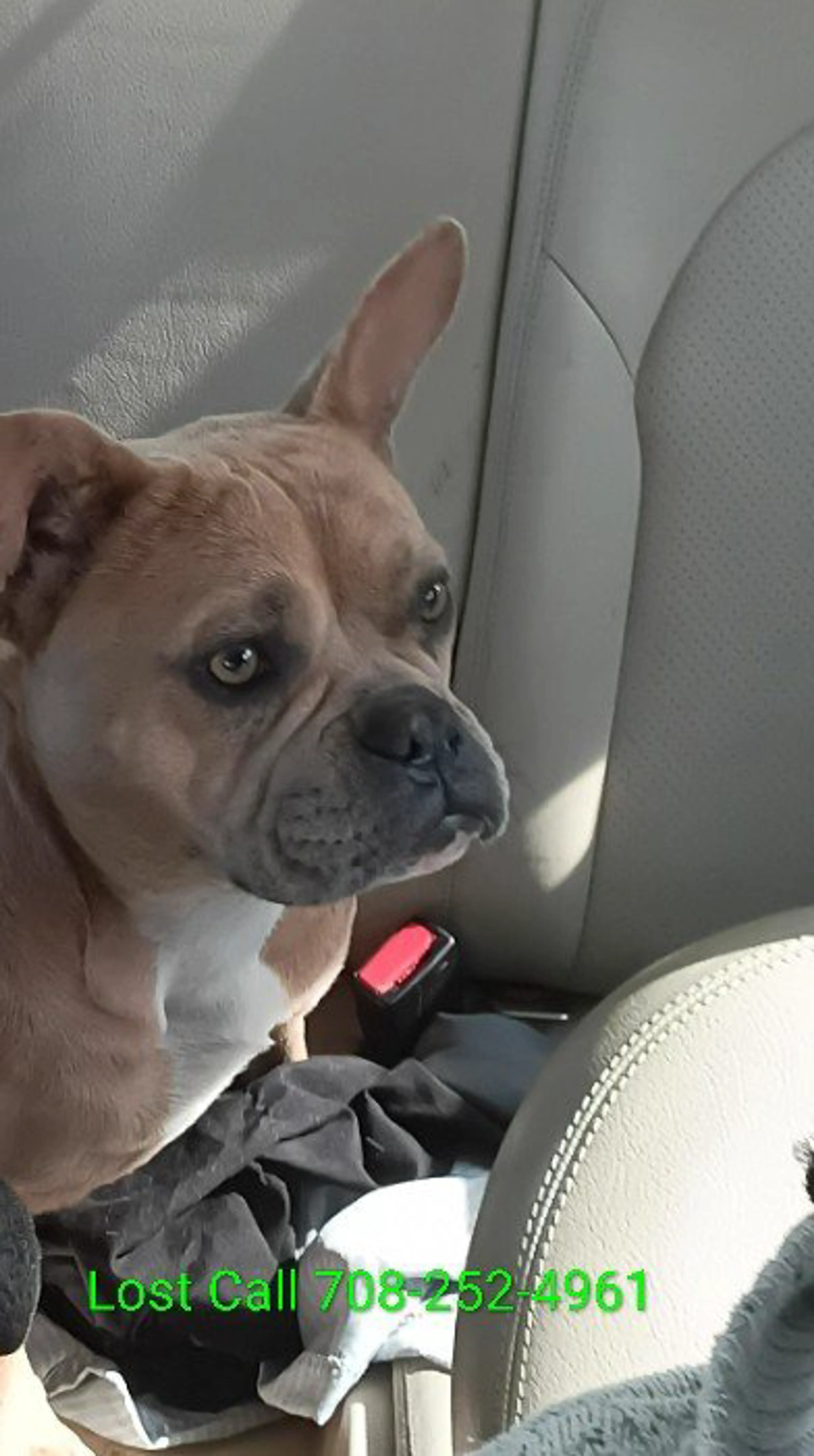 cdn image