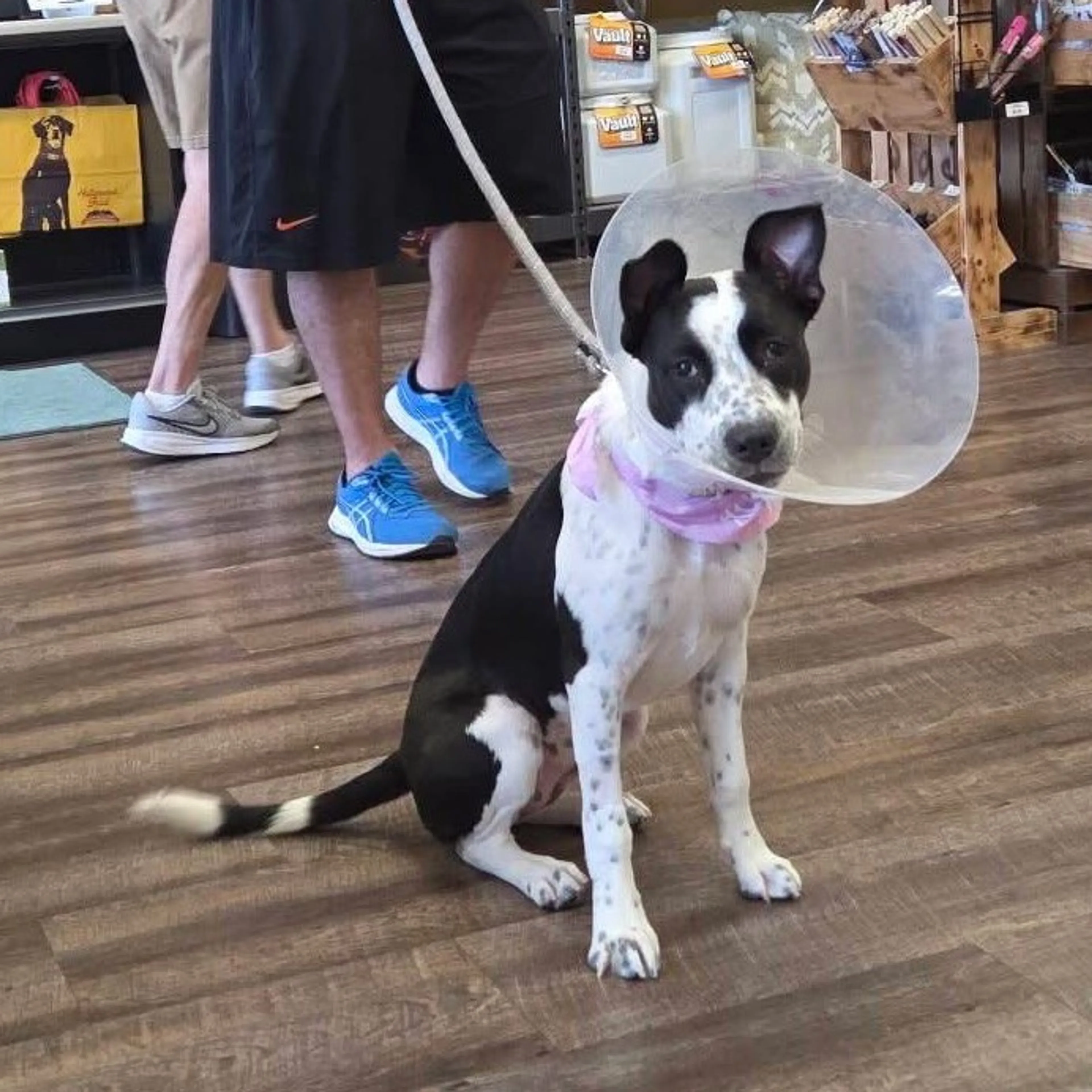 -19