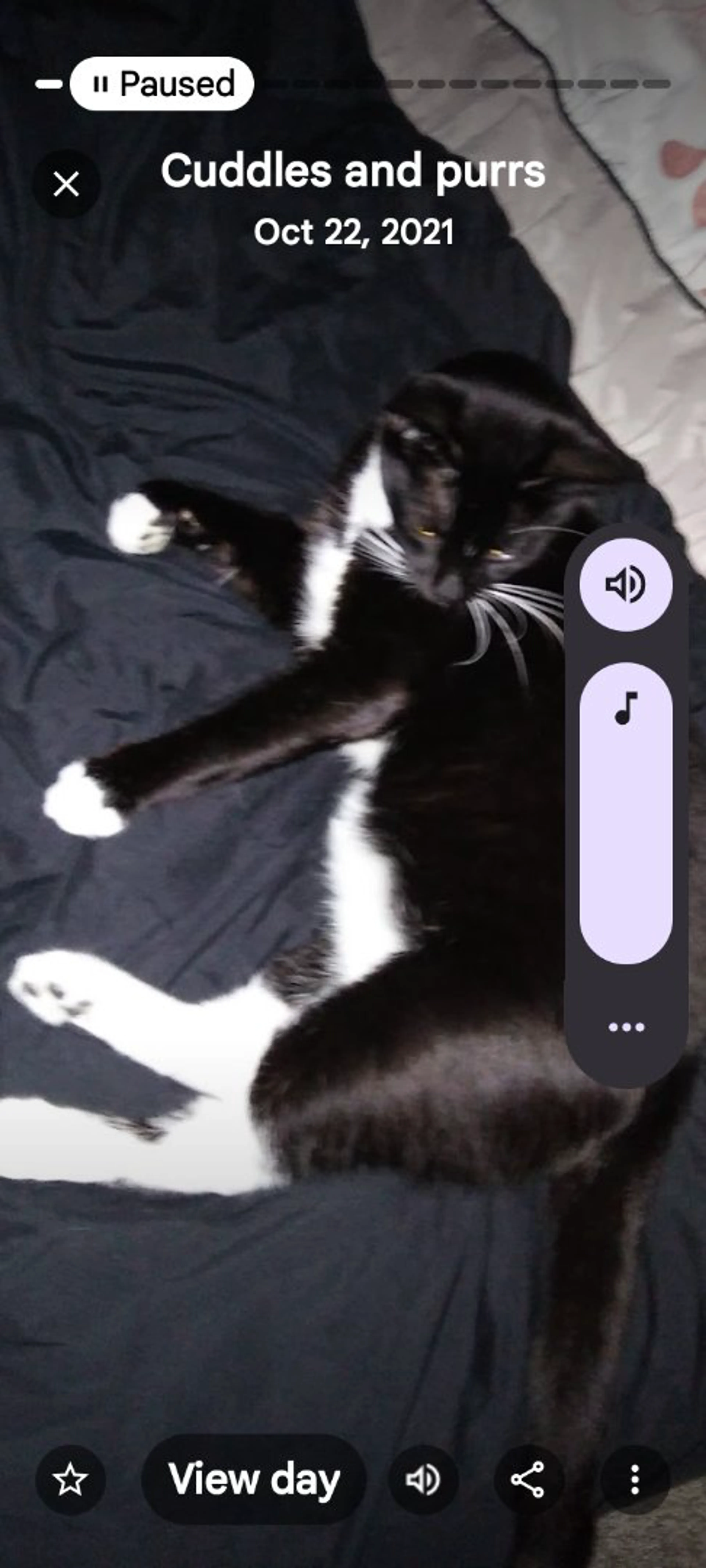 -3