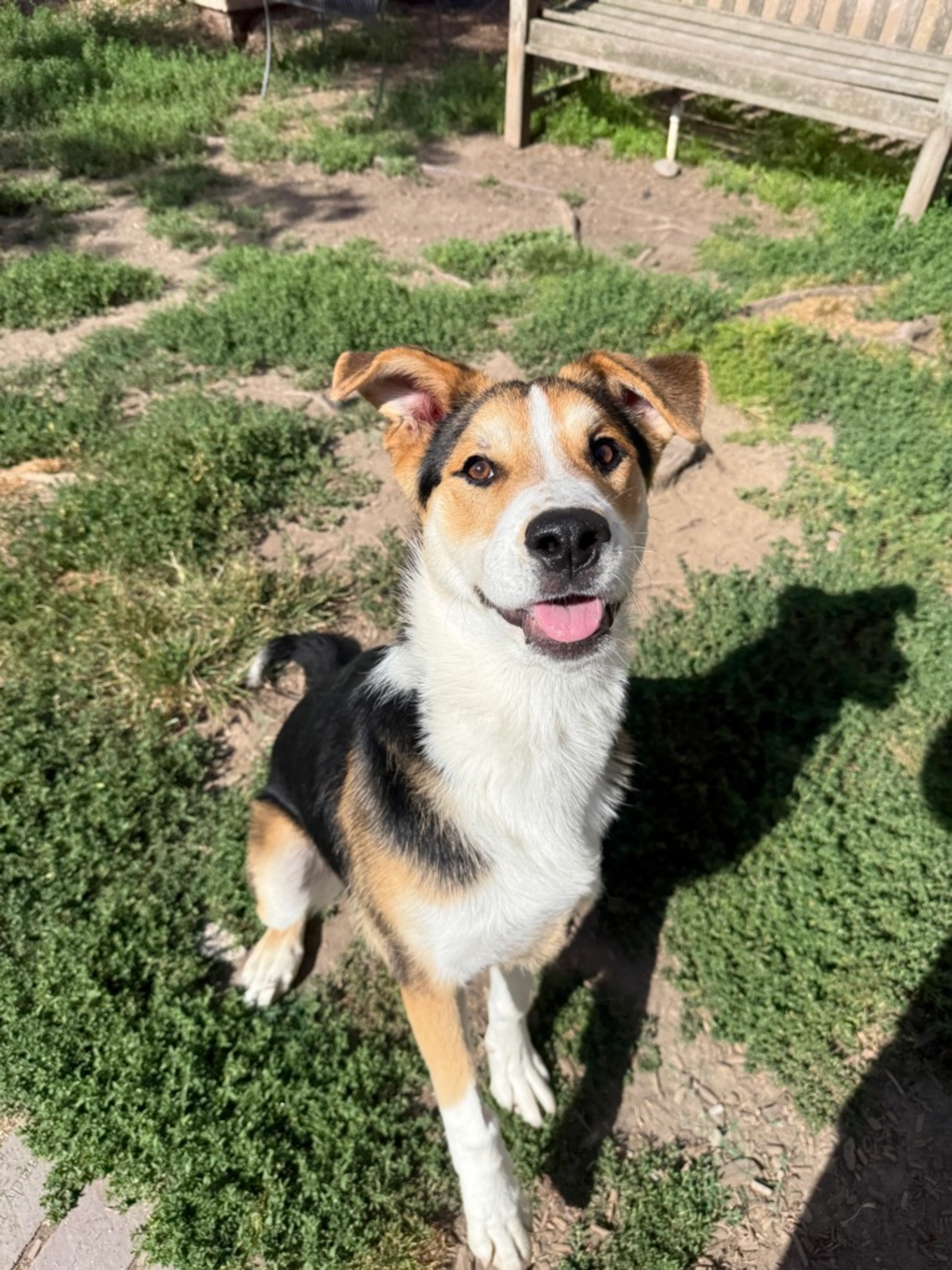 -2
