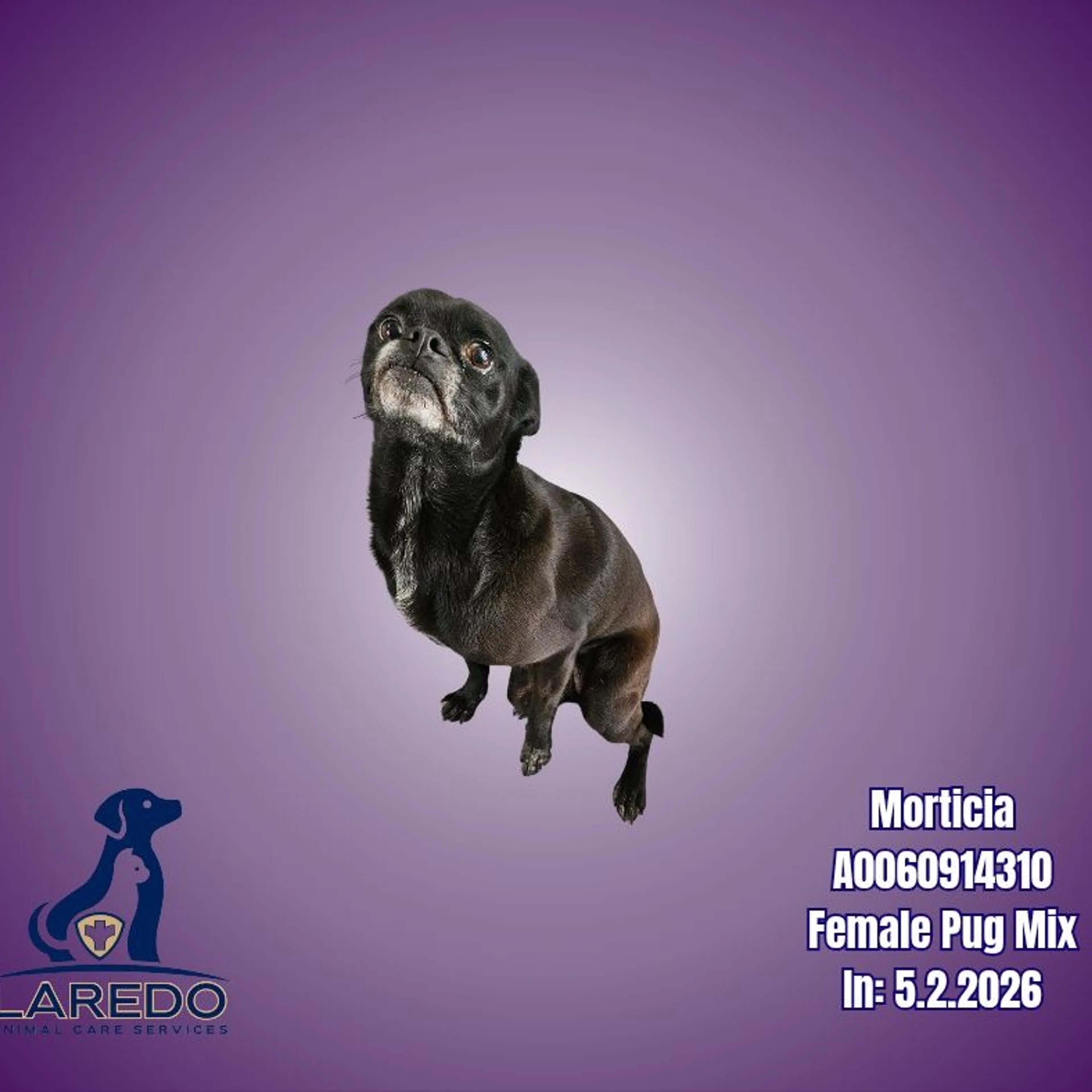 cdn image
