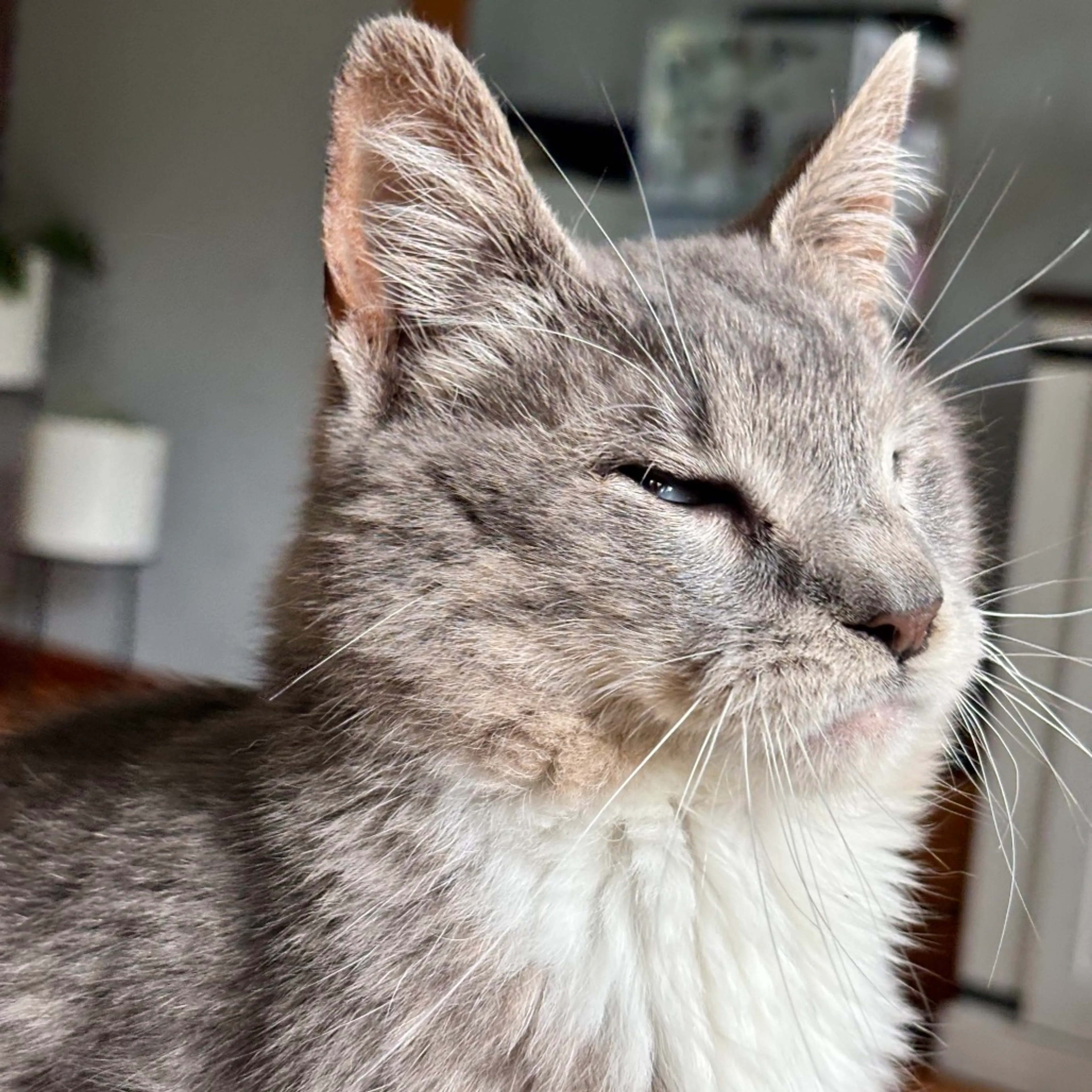 -2