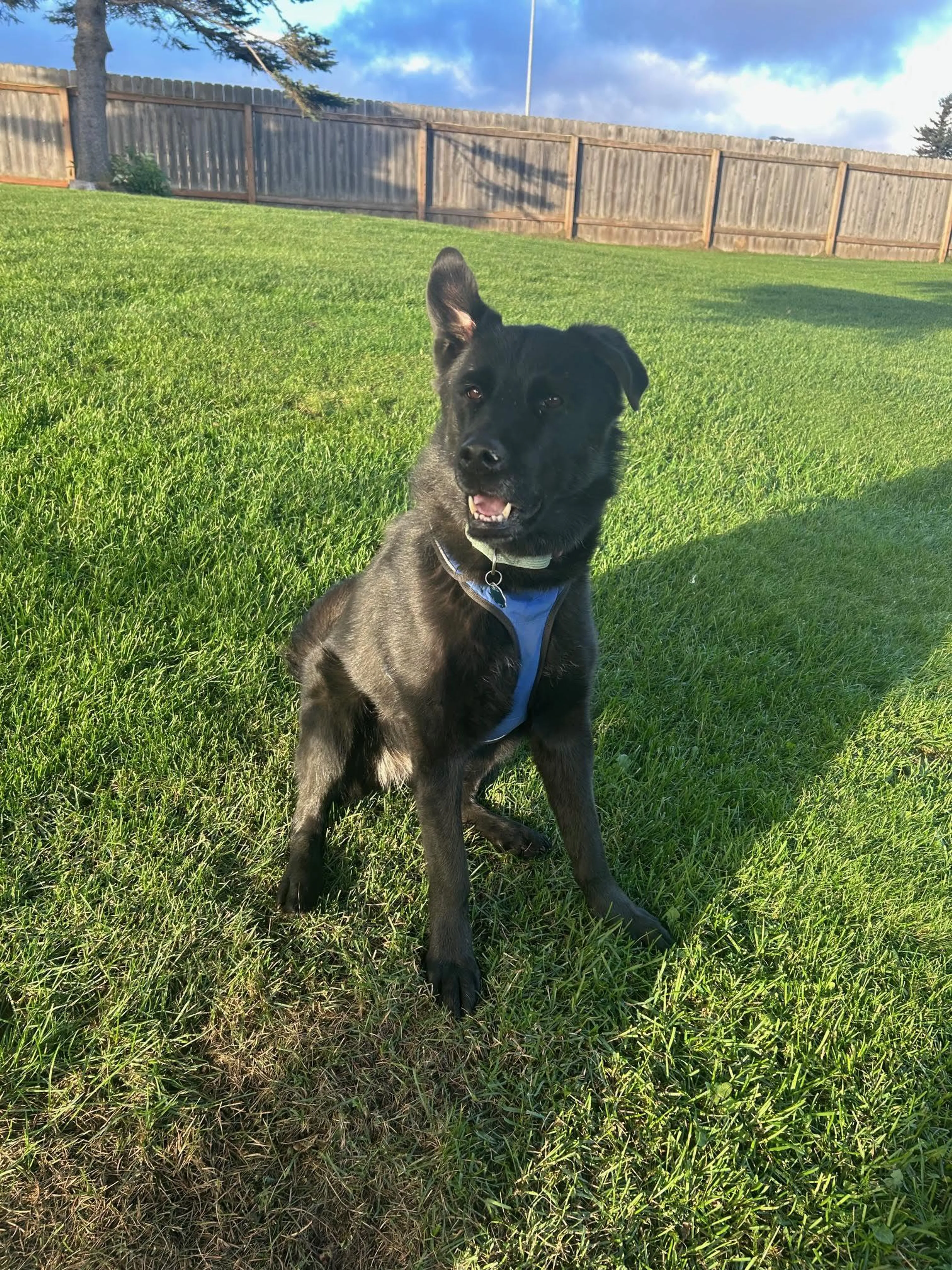 -0