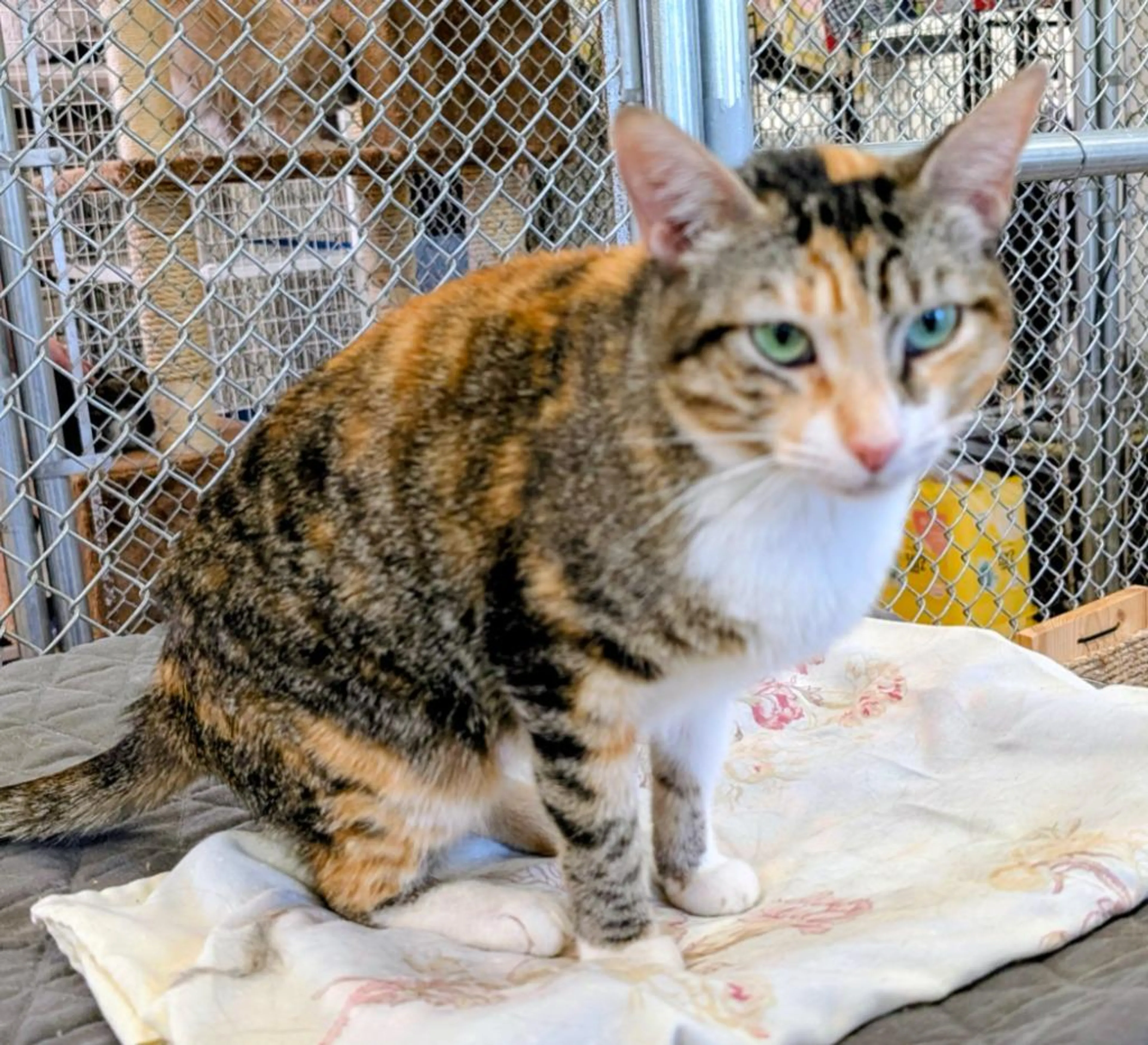 -1
