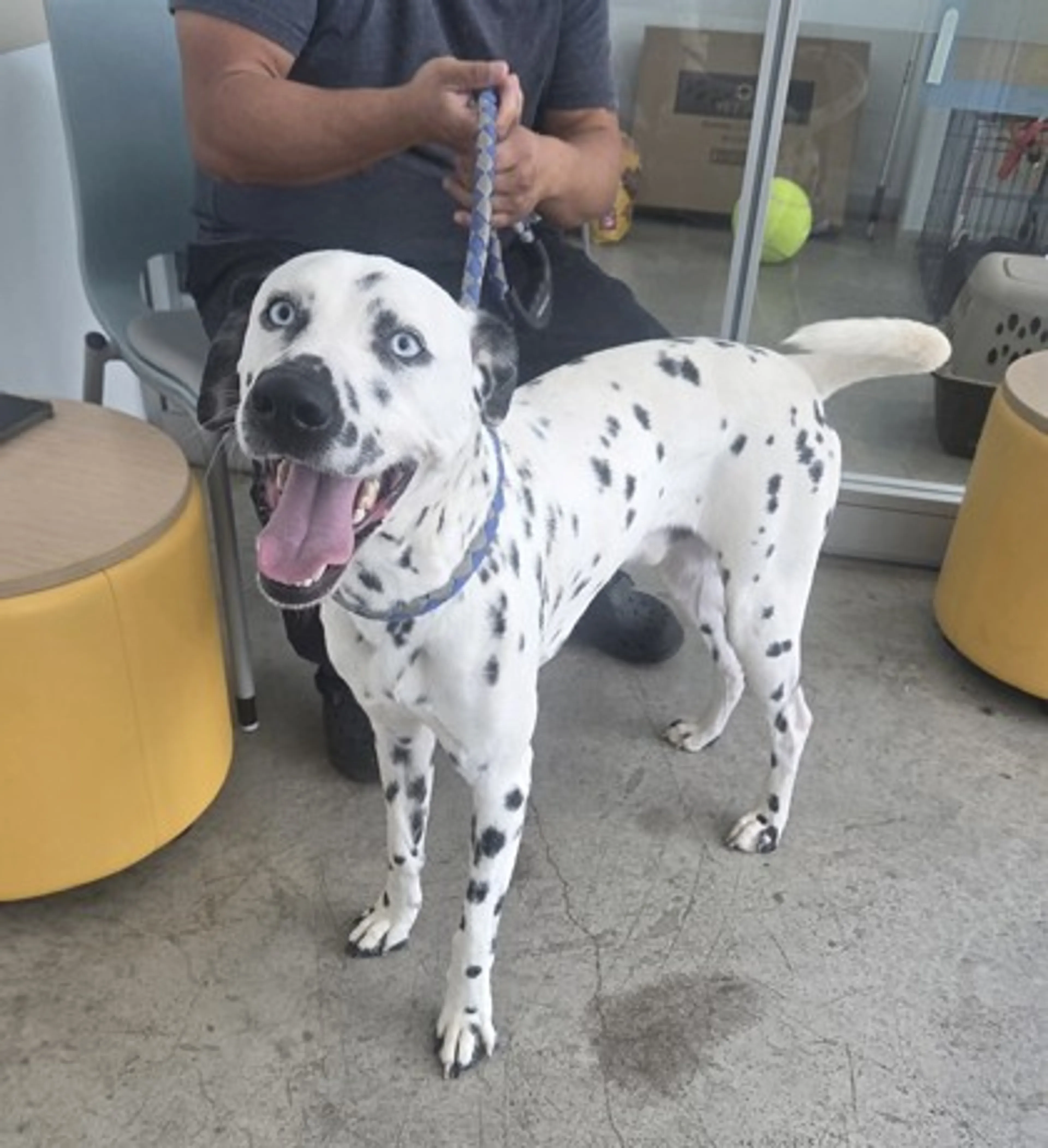 -0
