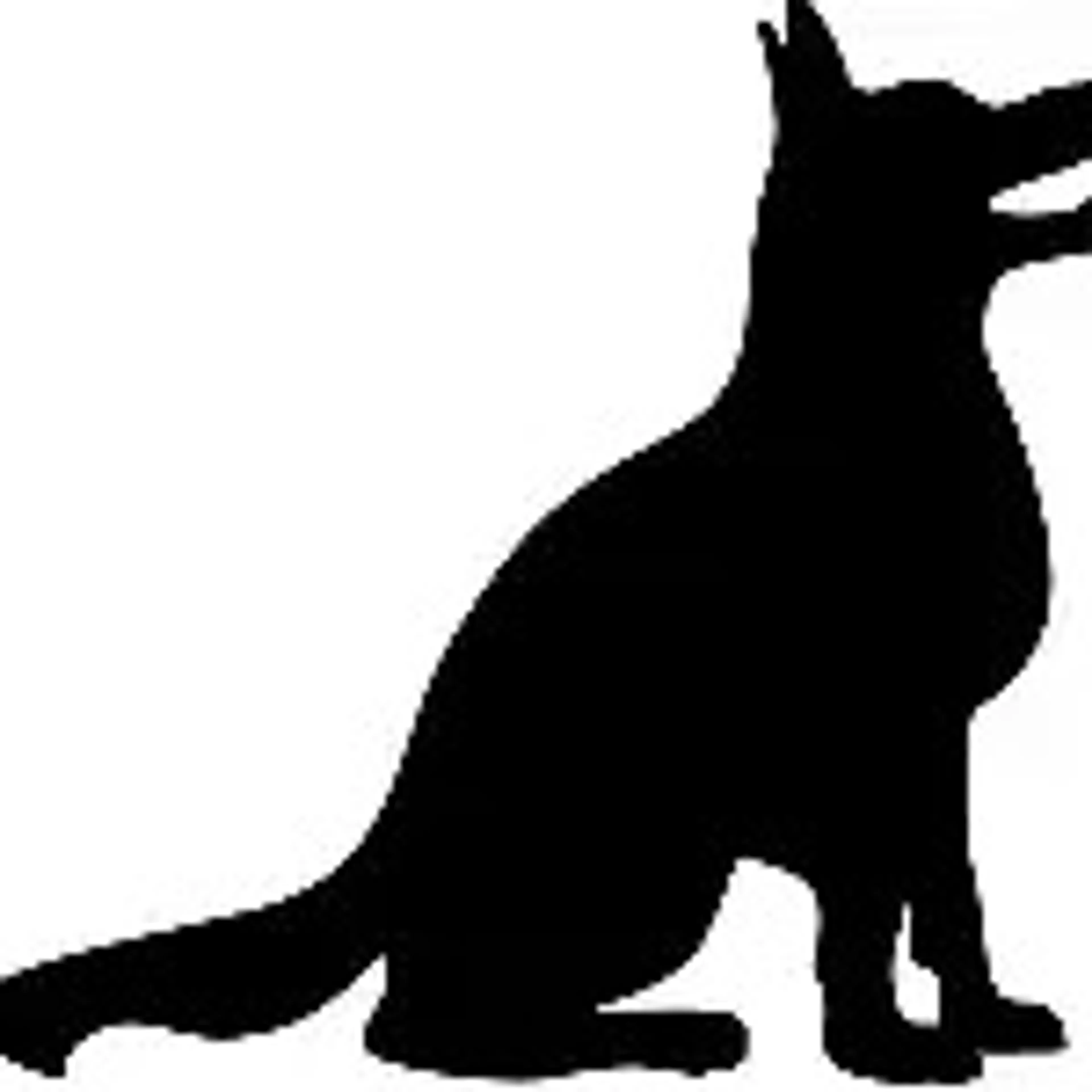 cdn image