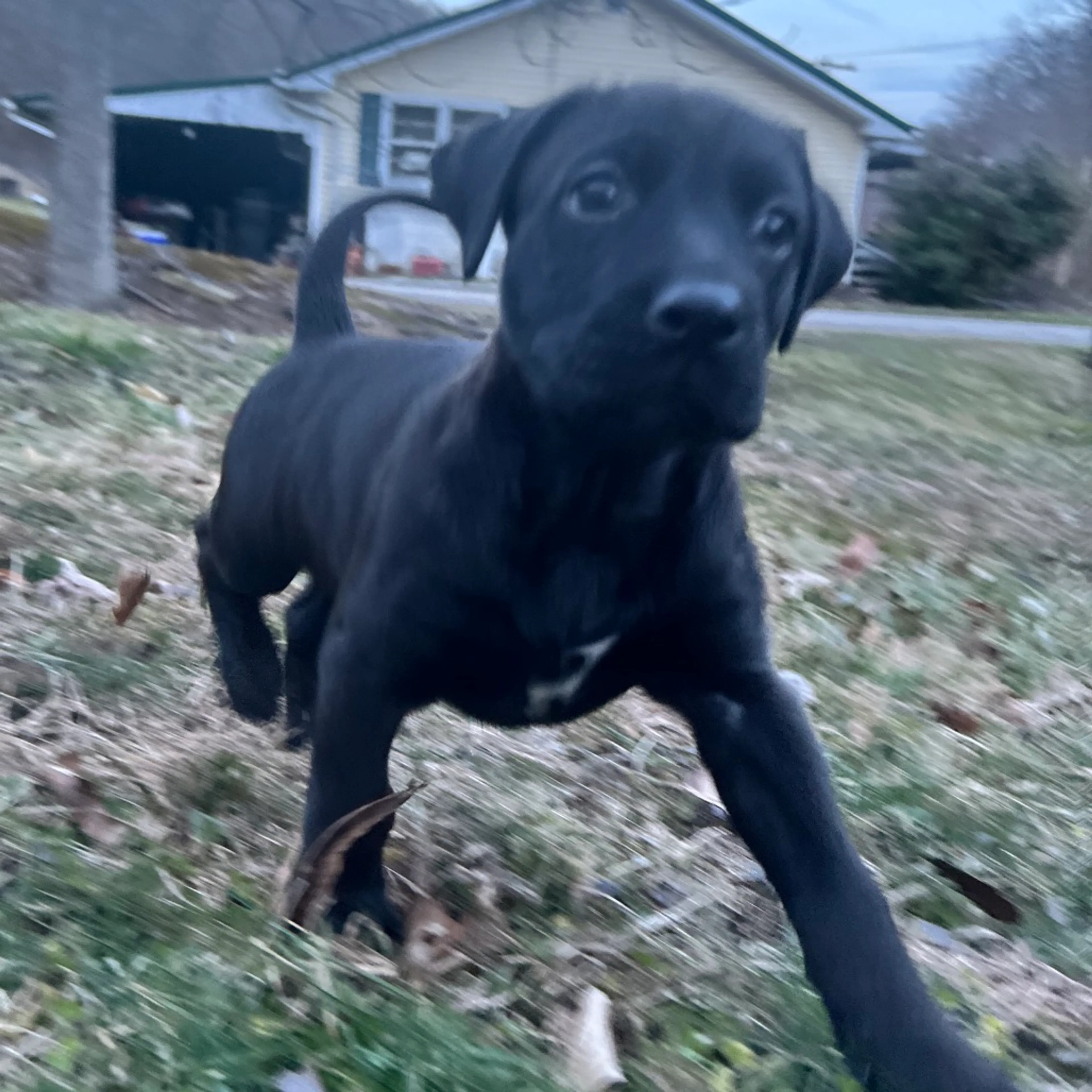 -11