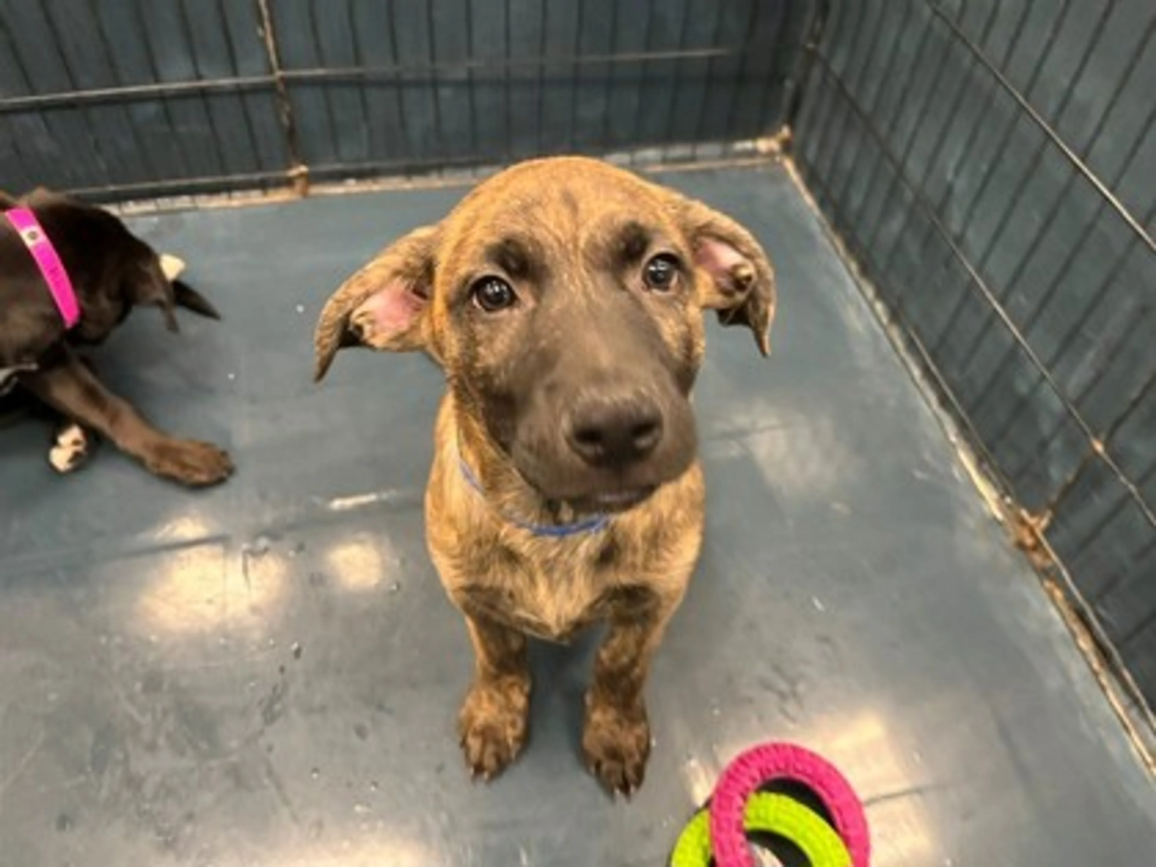 -0