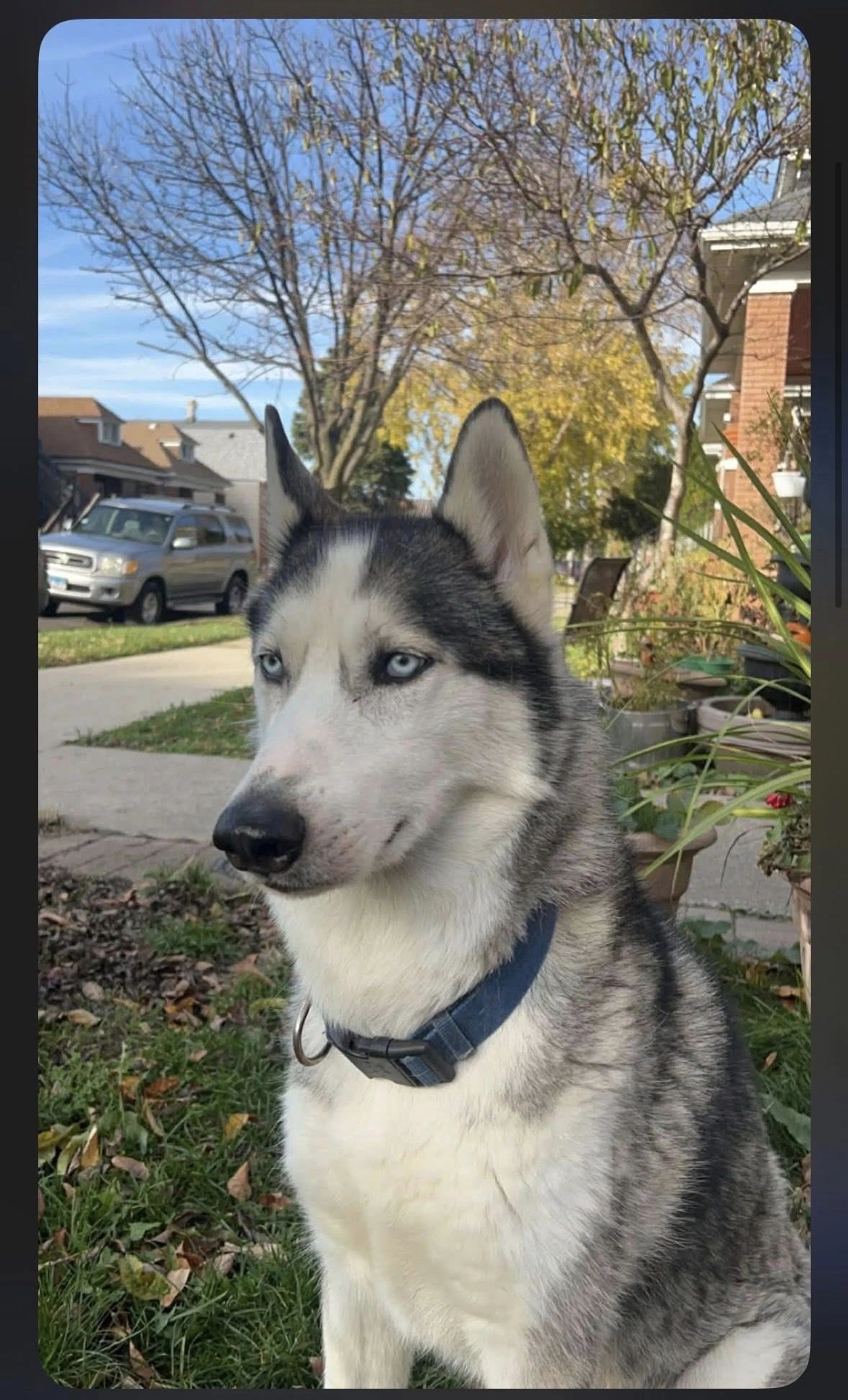 -3