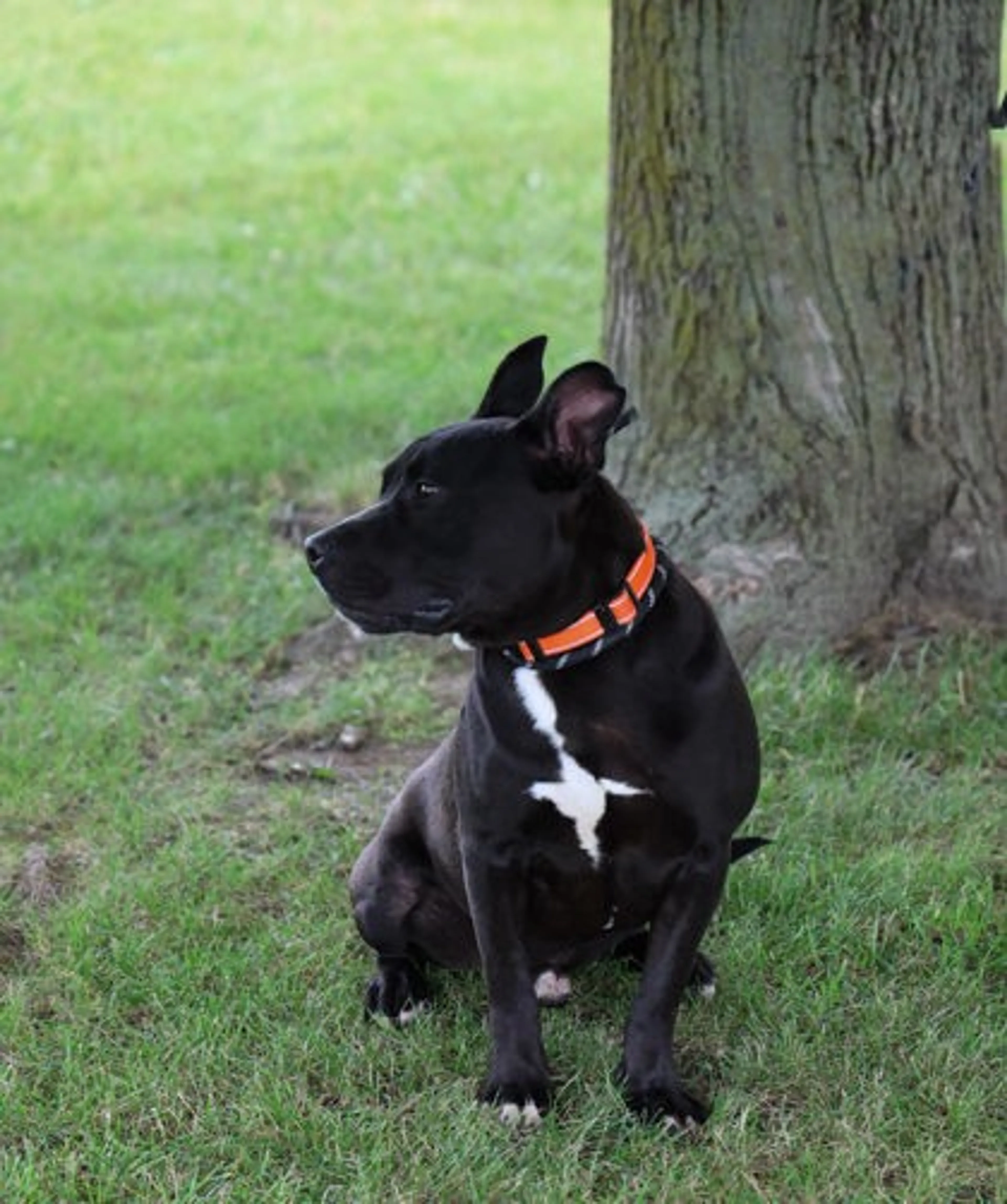 -2