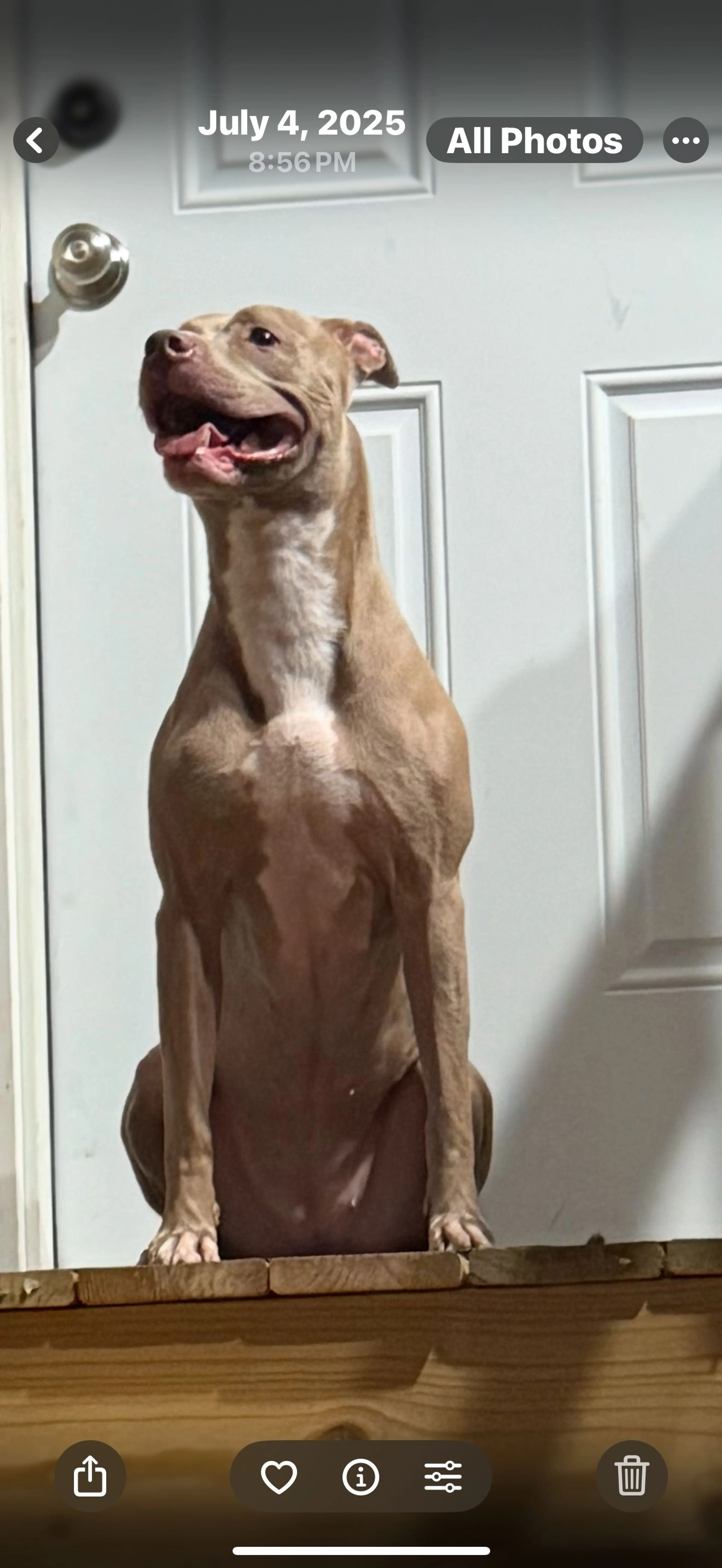 -3