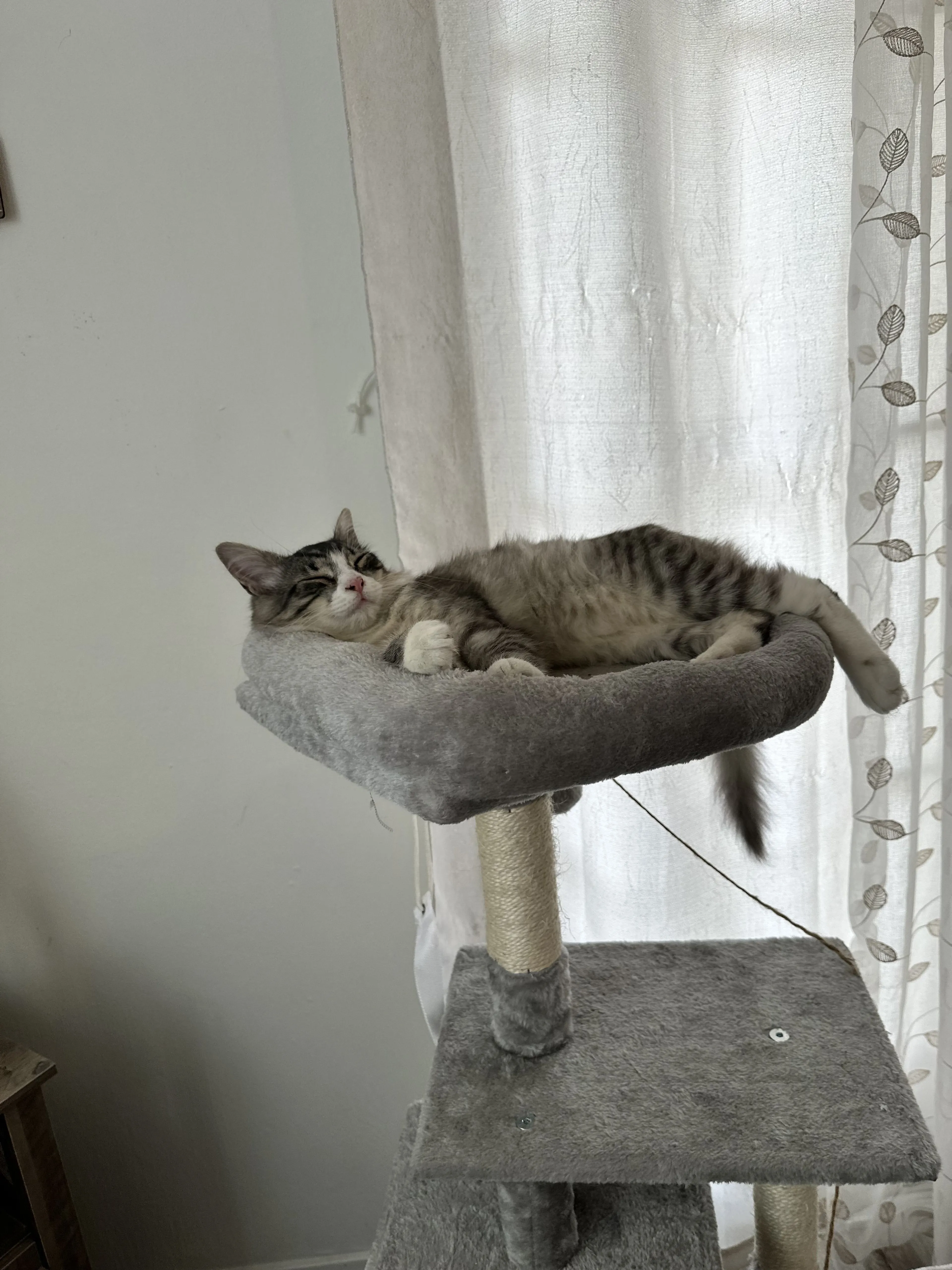 -4