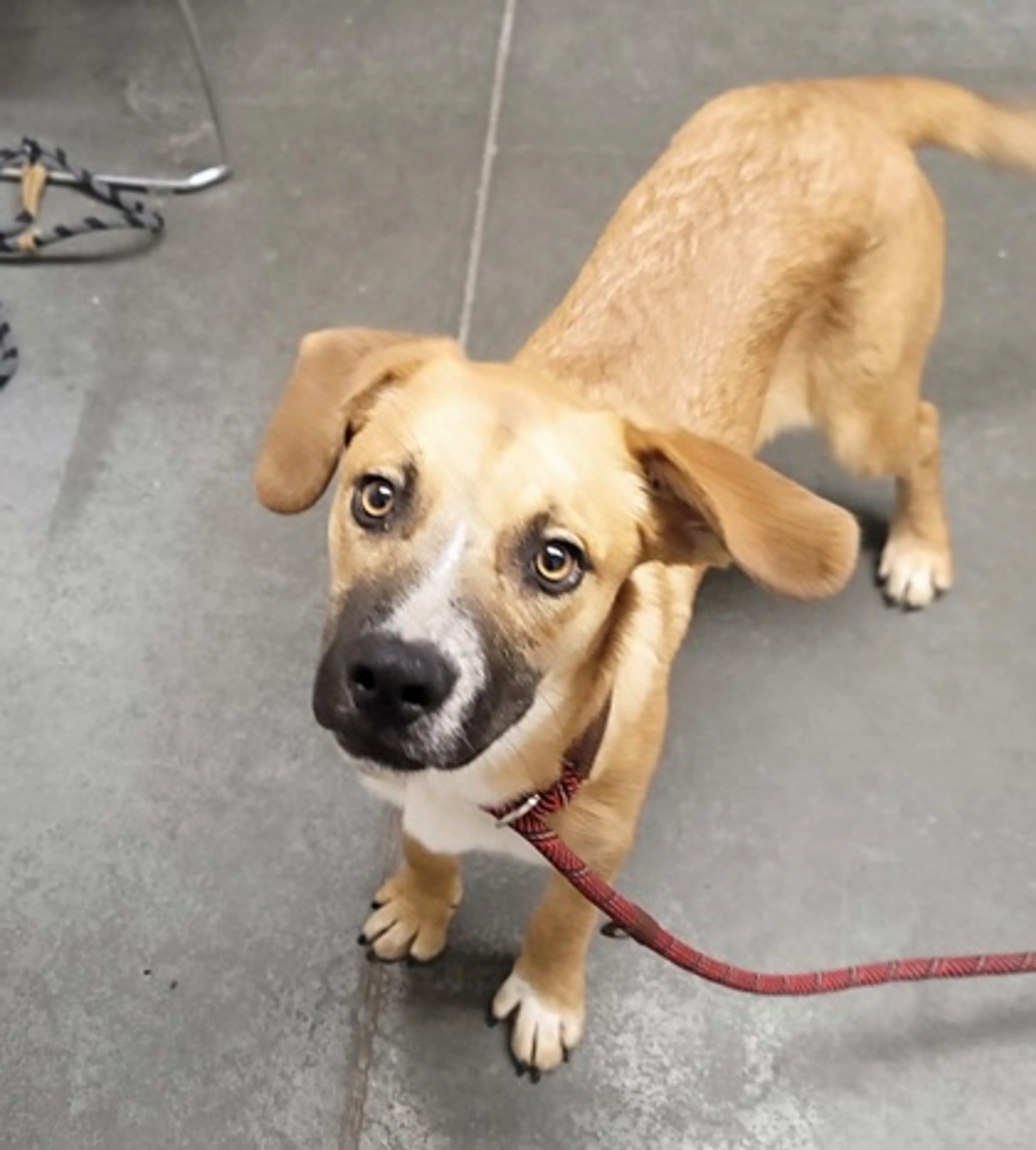 -0