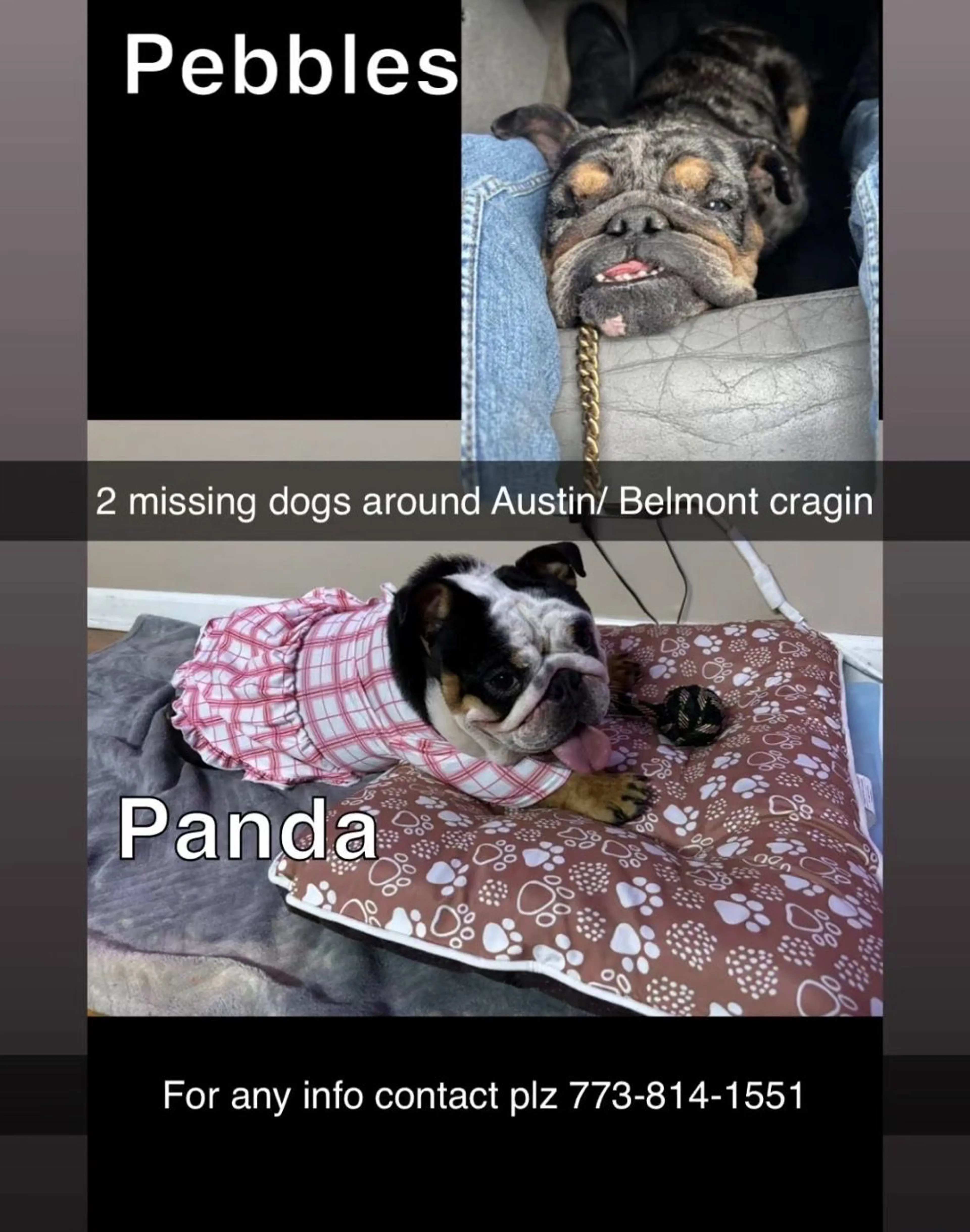 cdn image