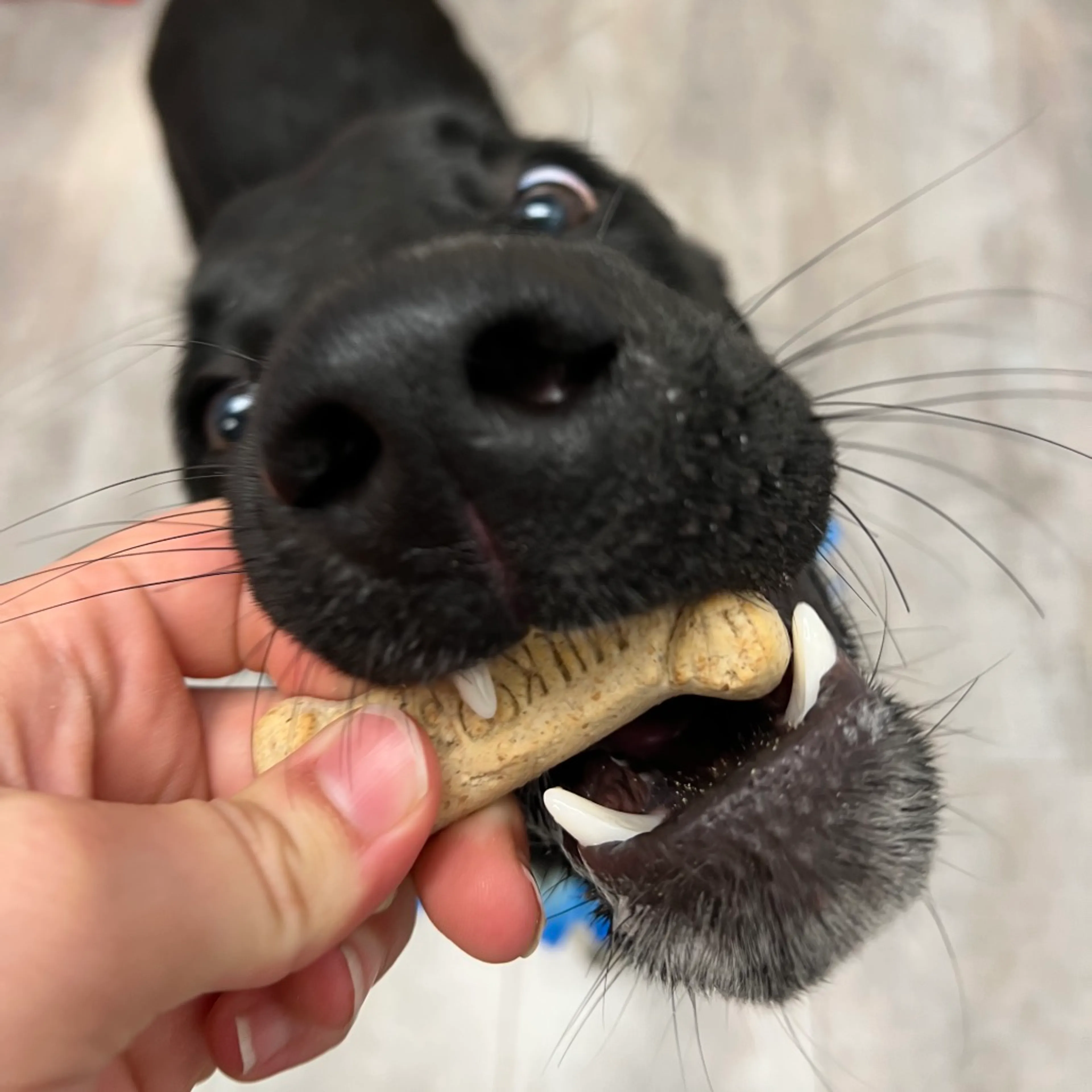 -7