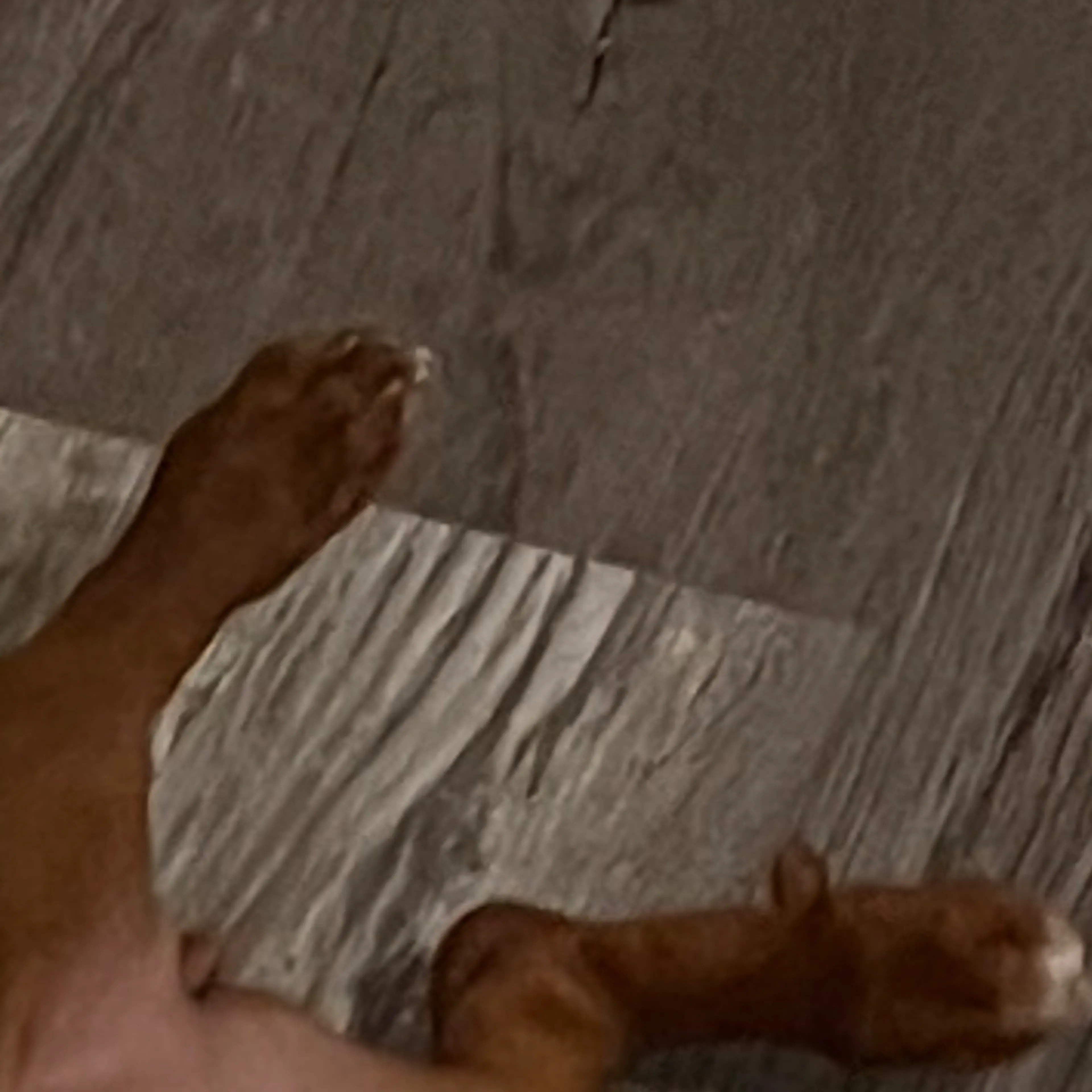 -1