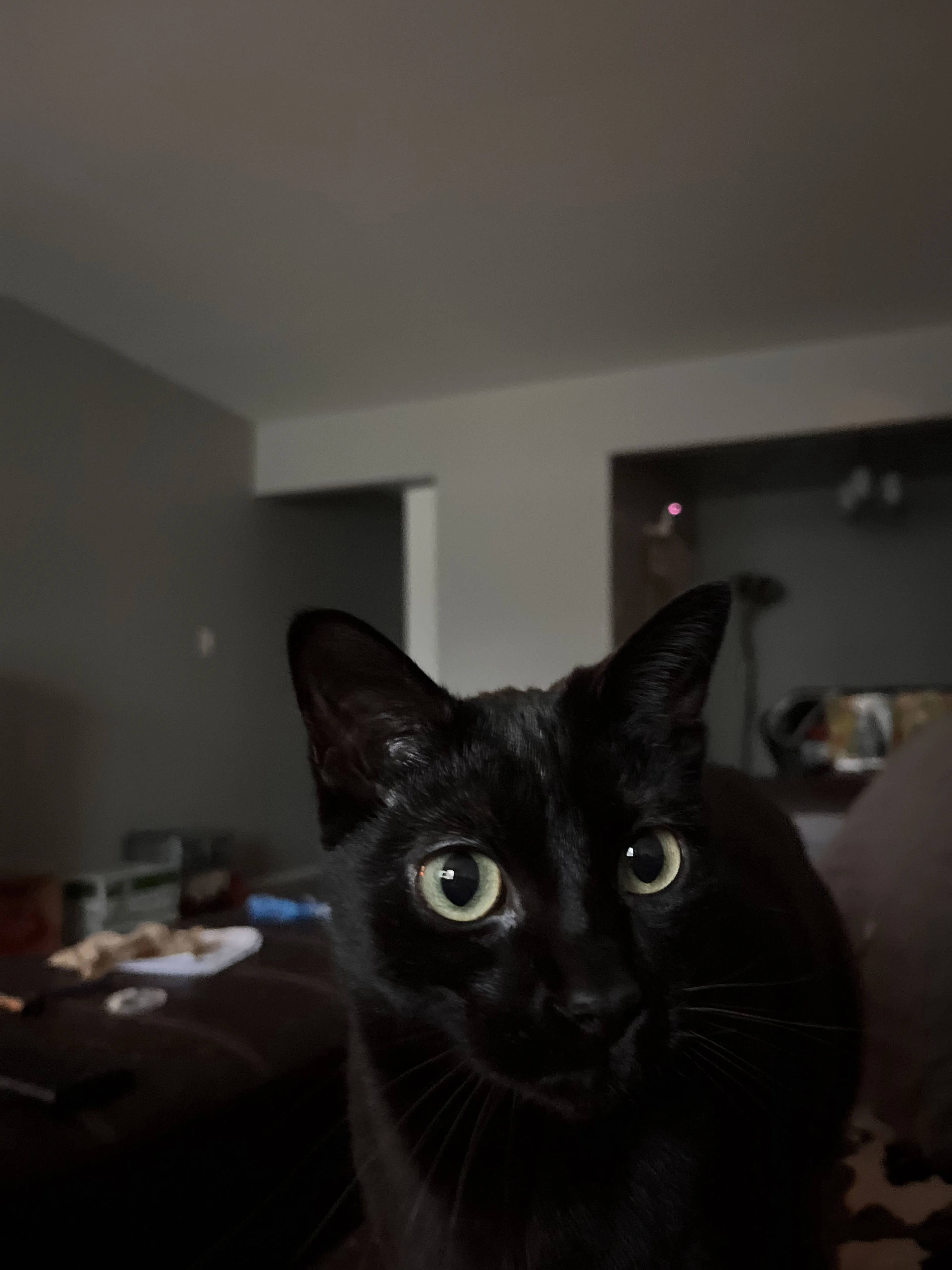 -3