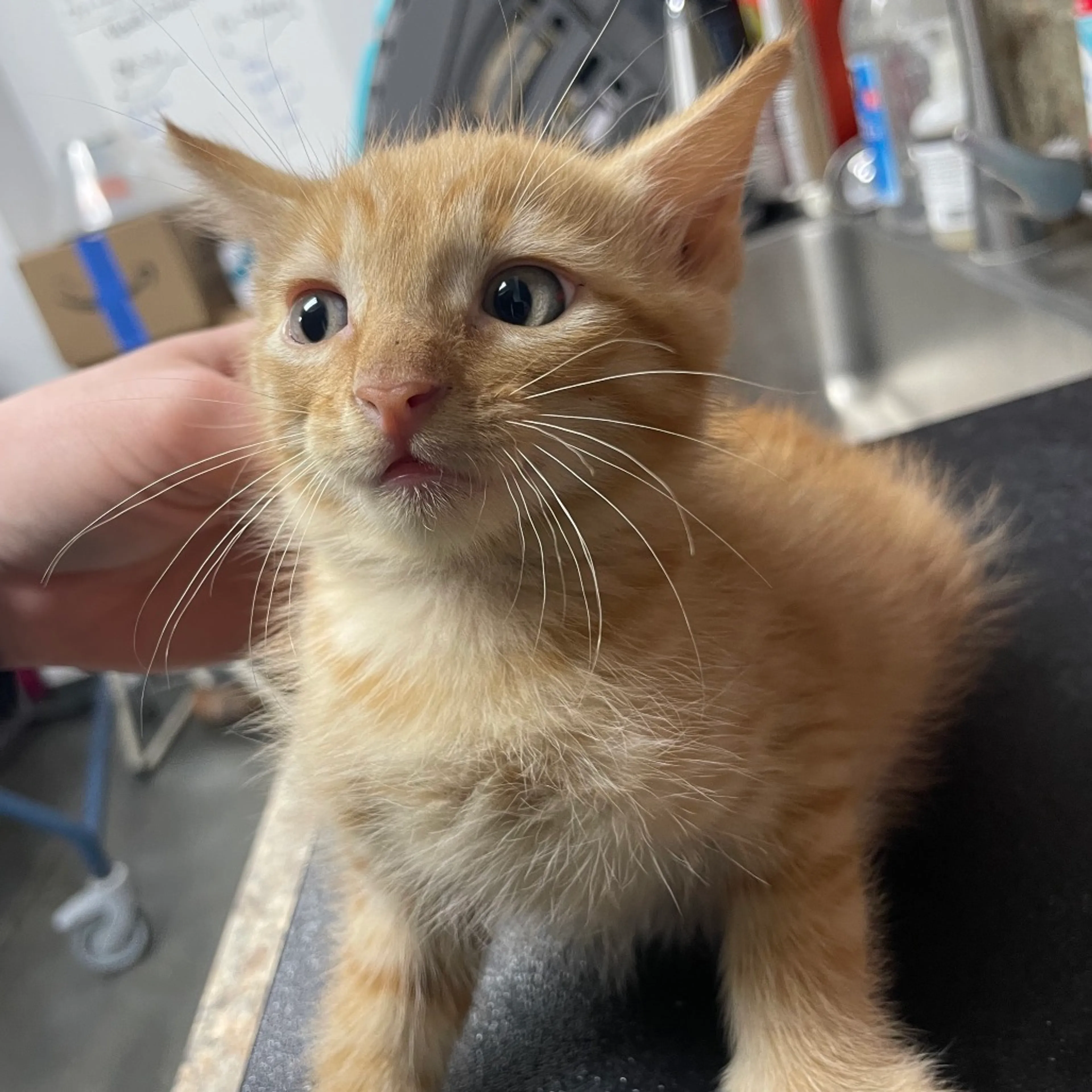 -0