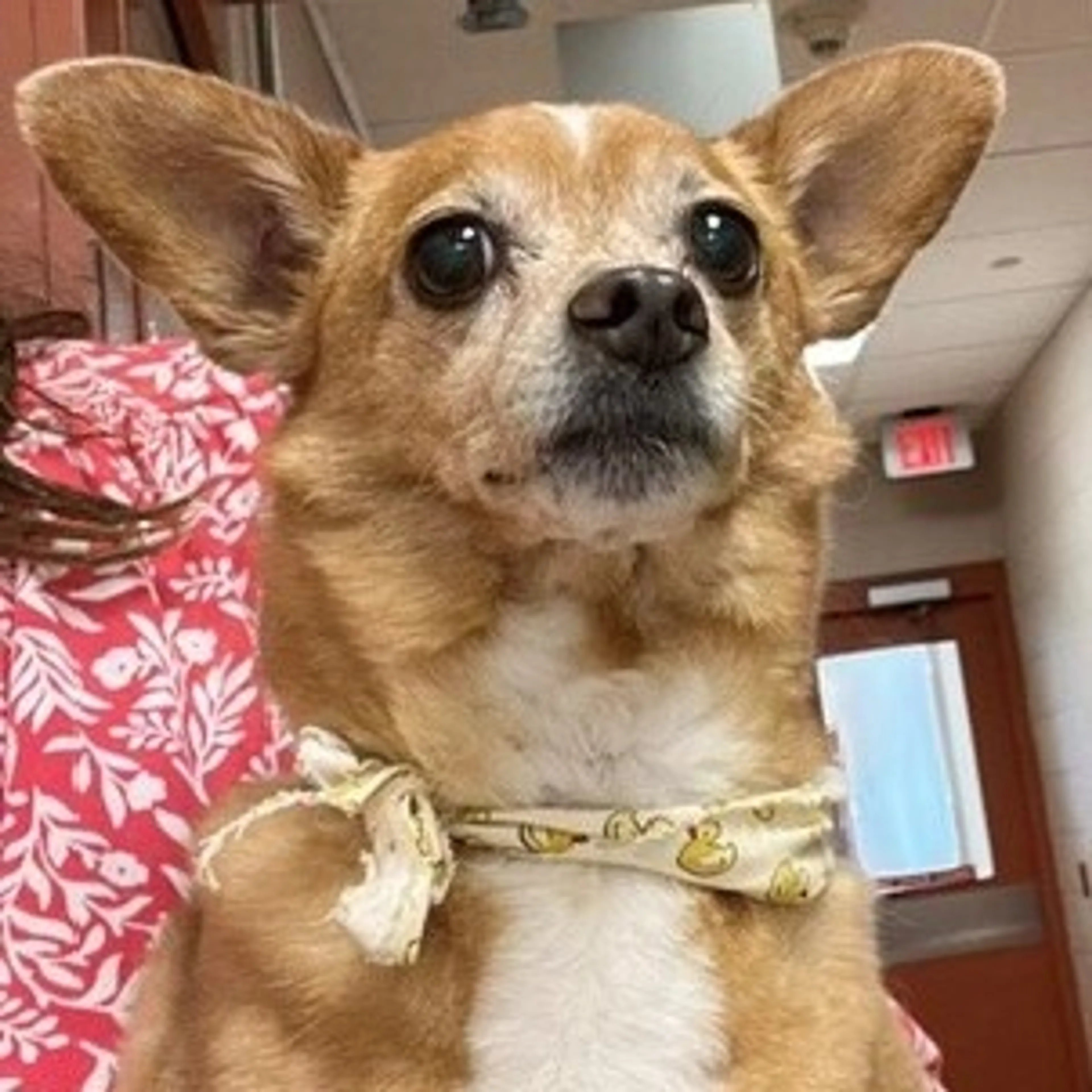 -0