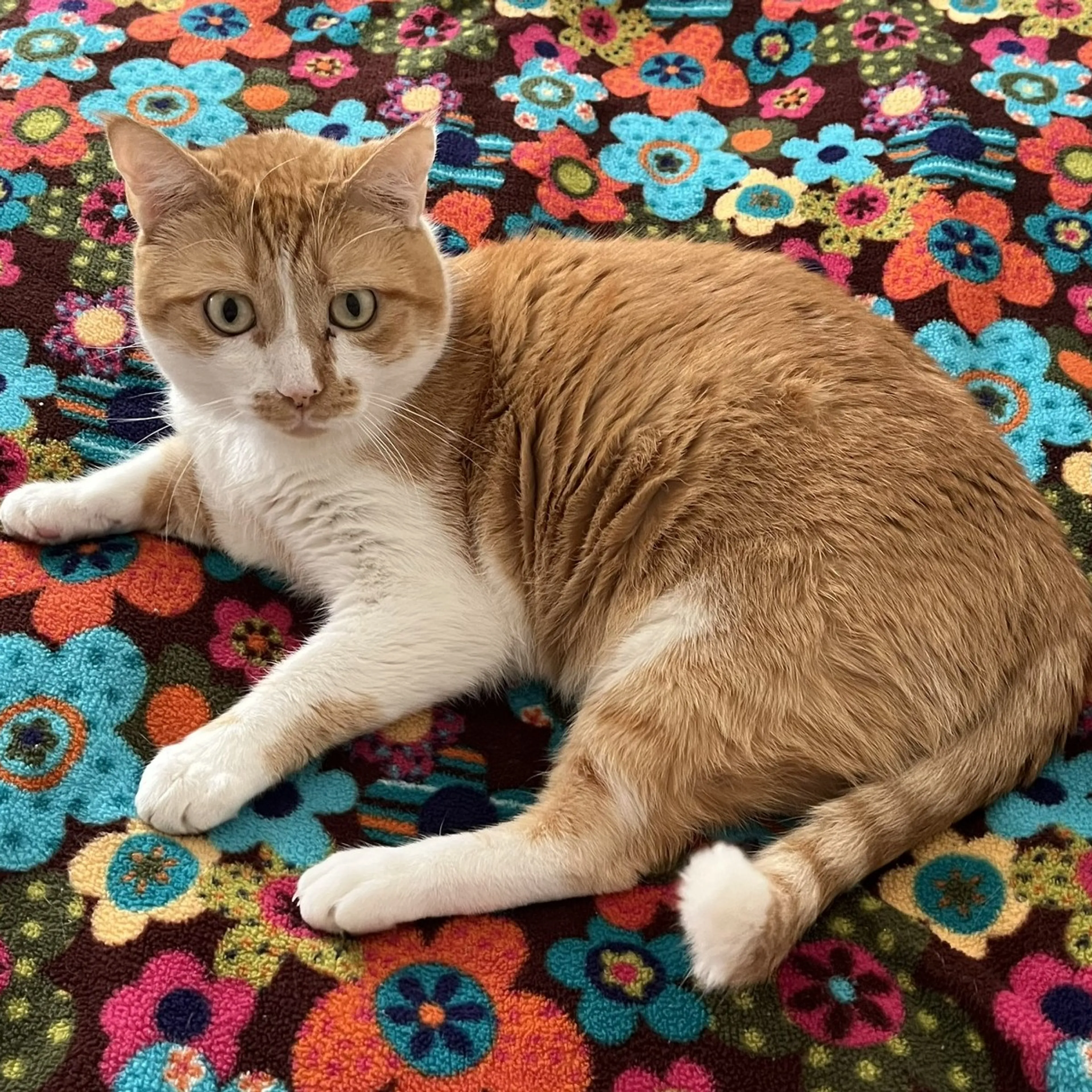 -1