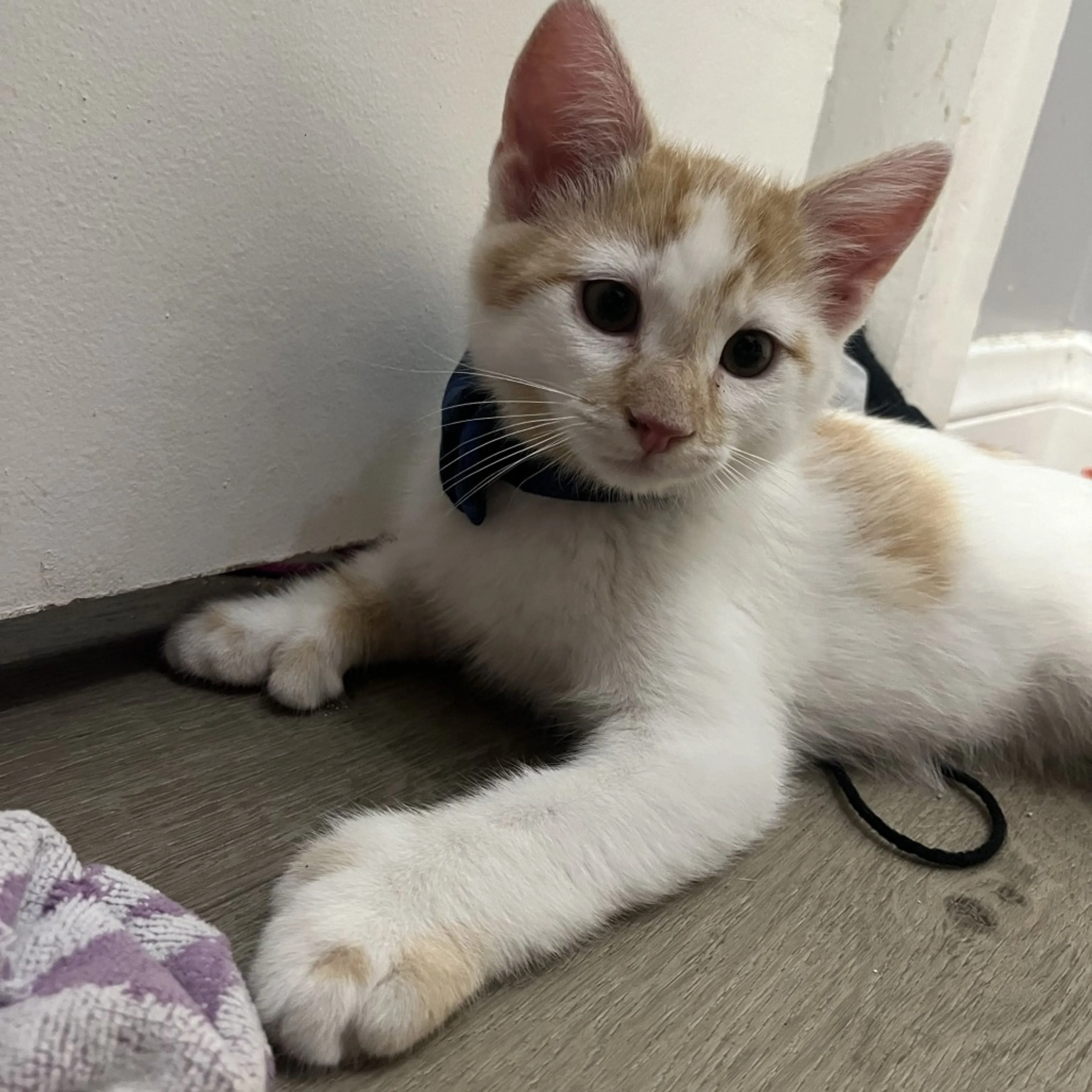 -3