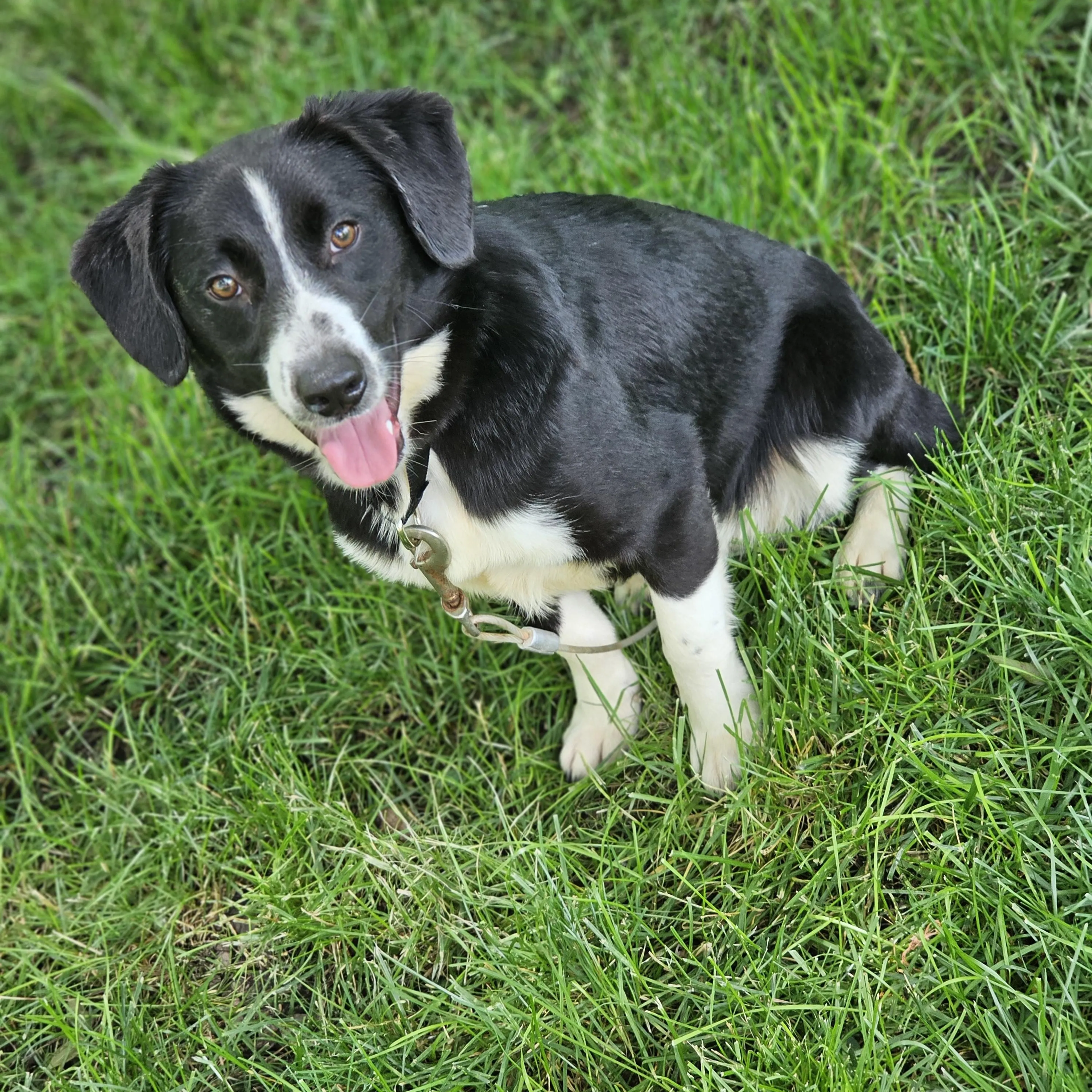 -0