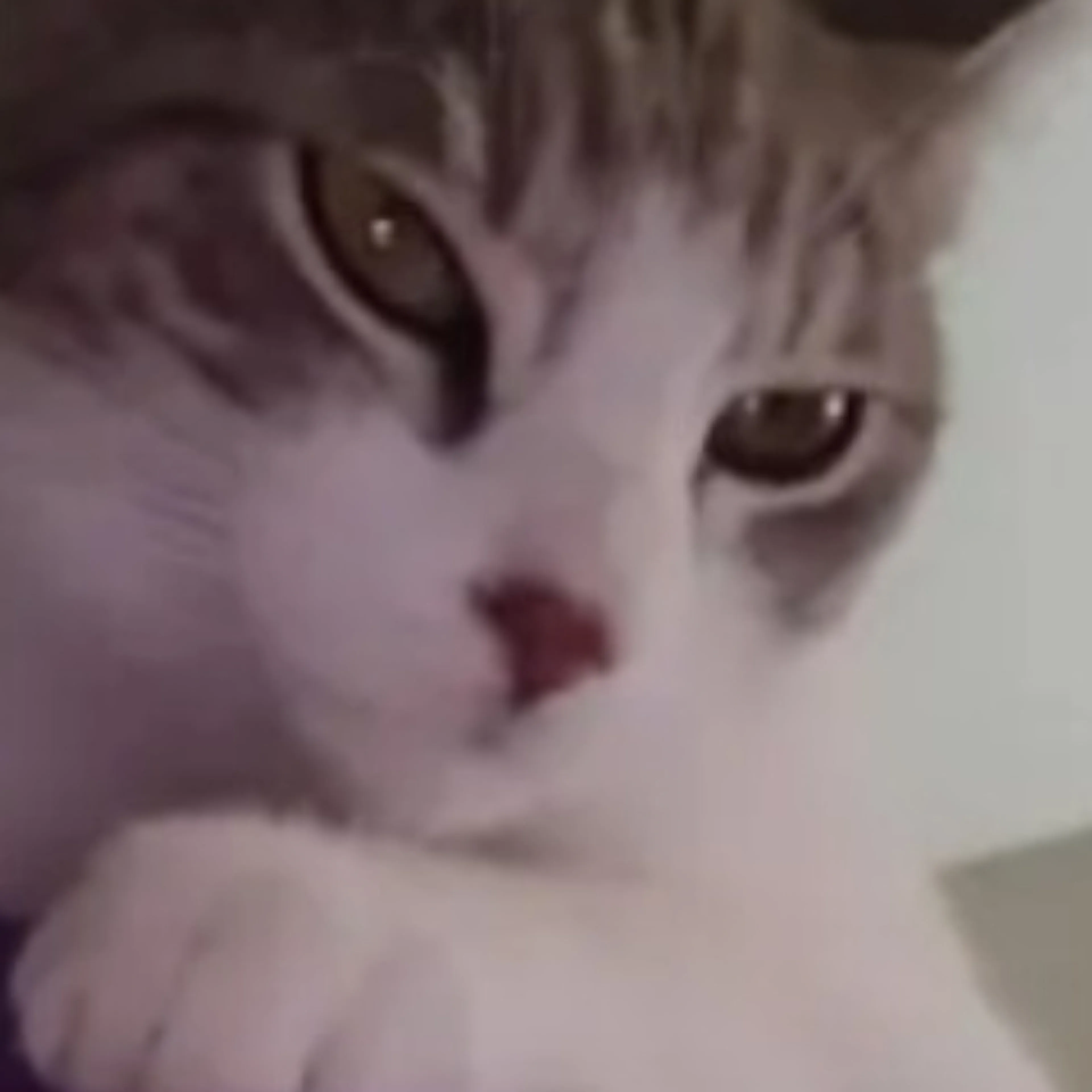 -3