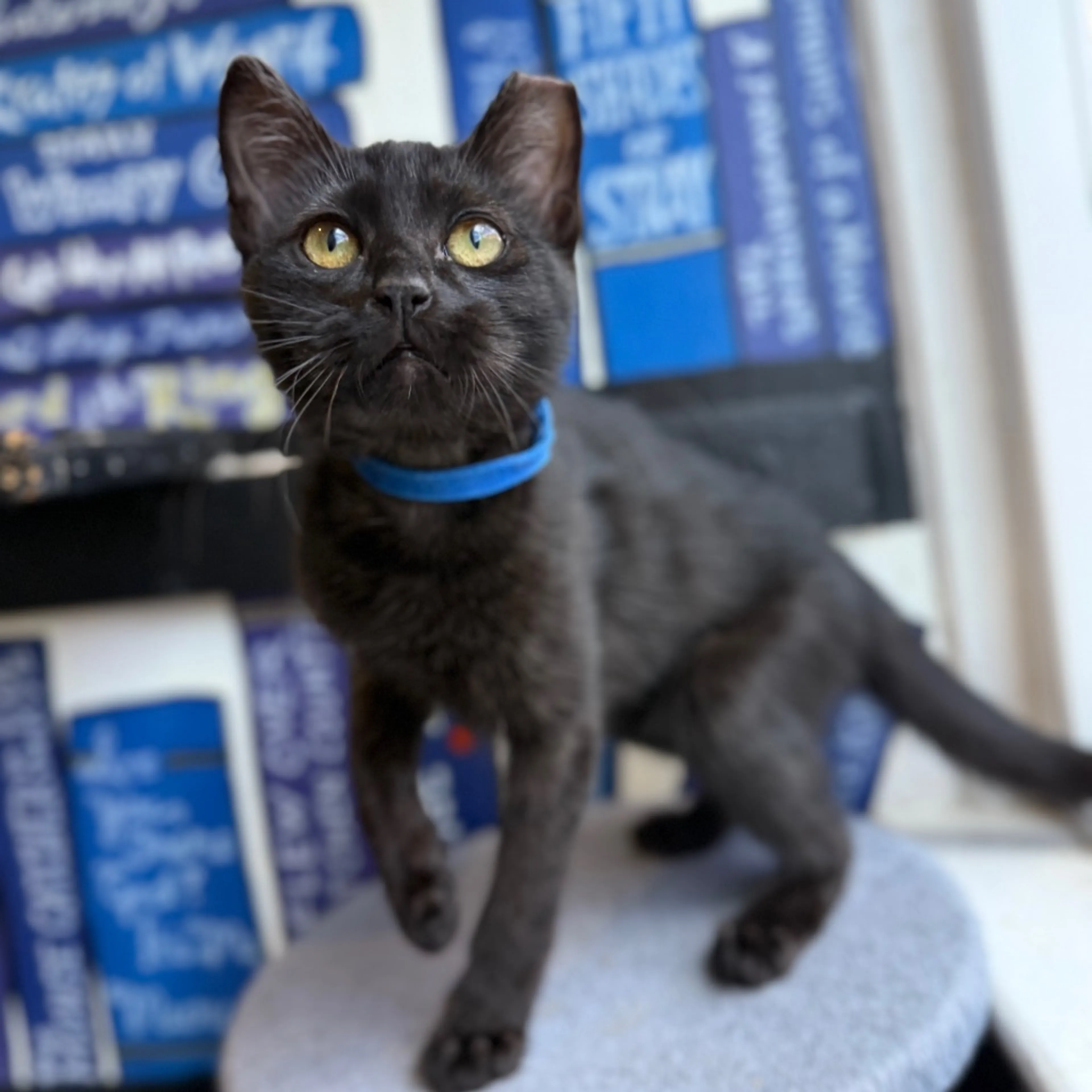 -1