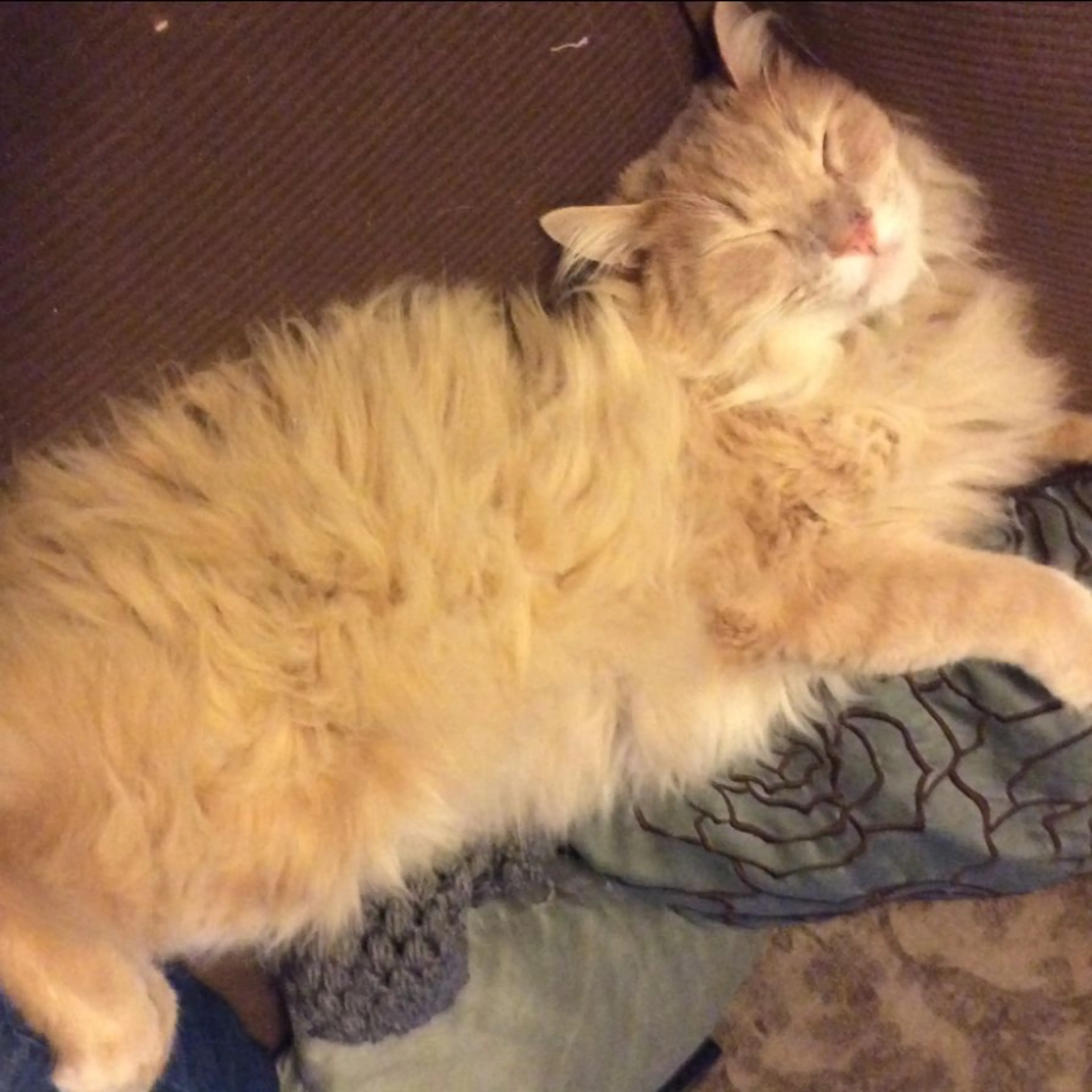 cdn image