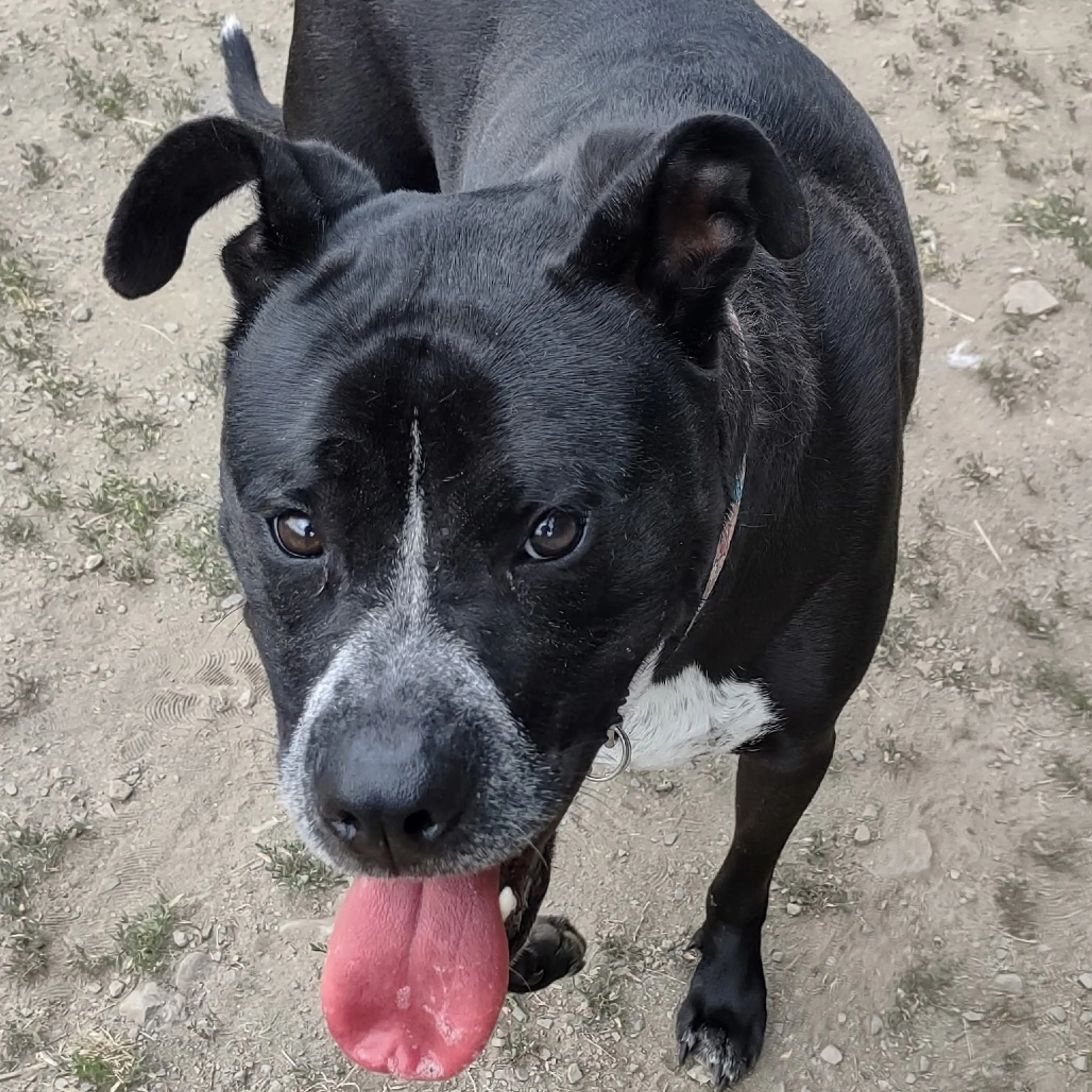 -0