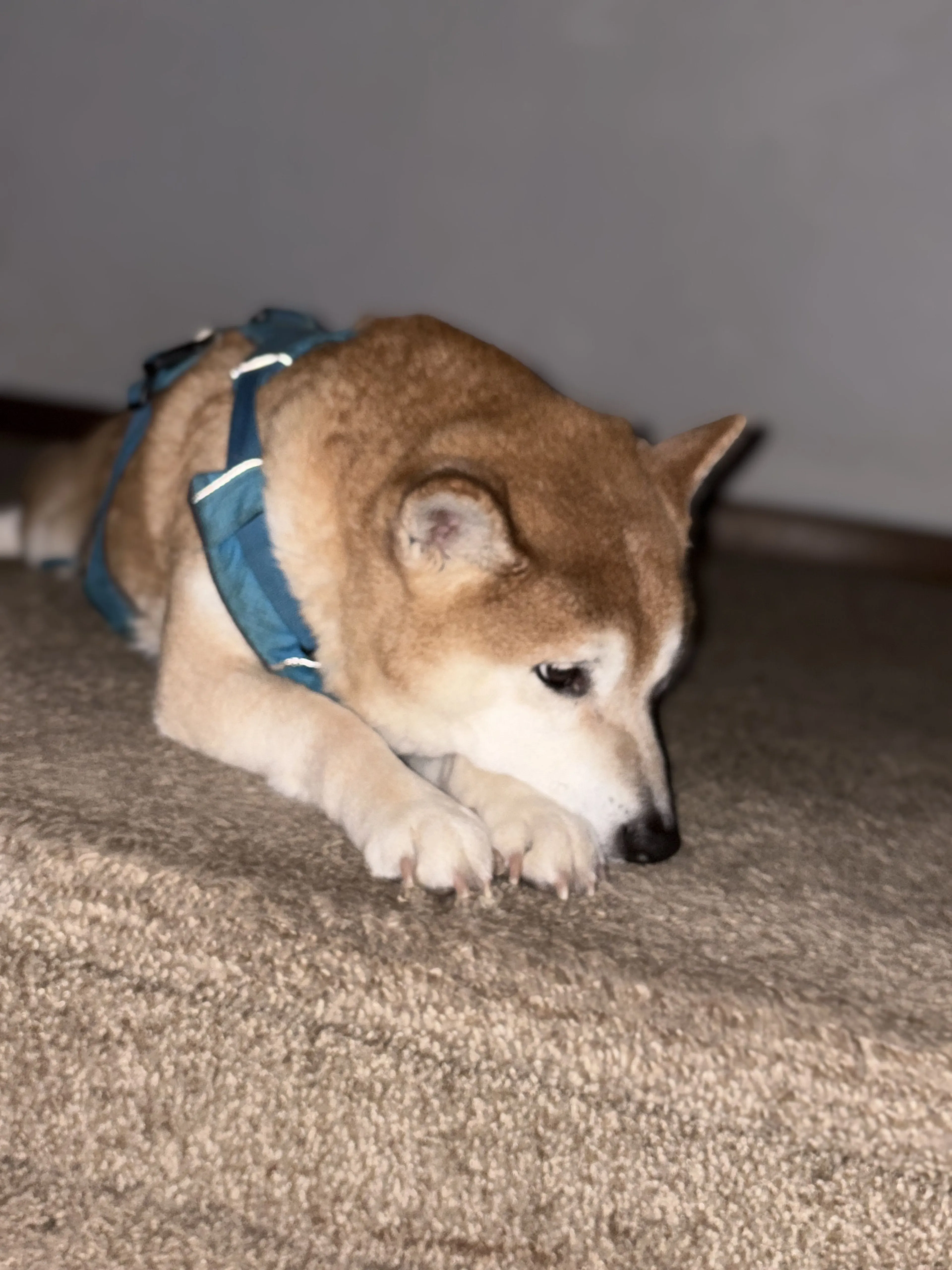 -2