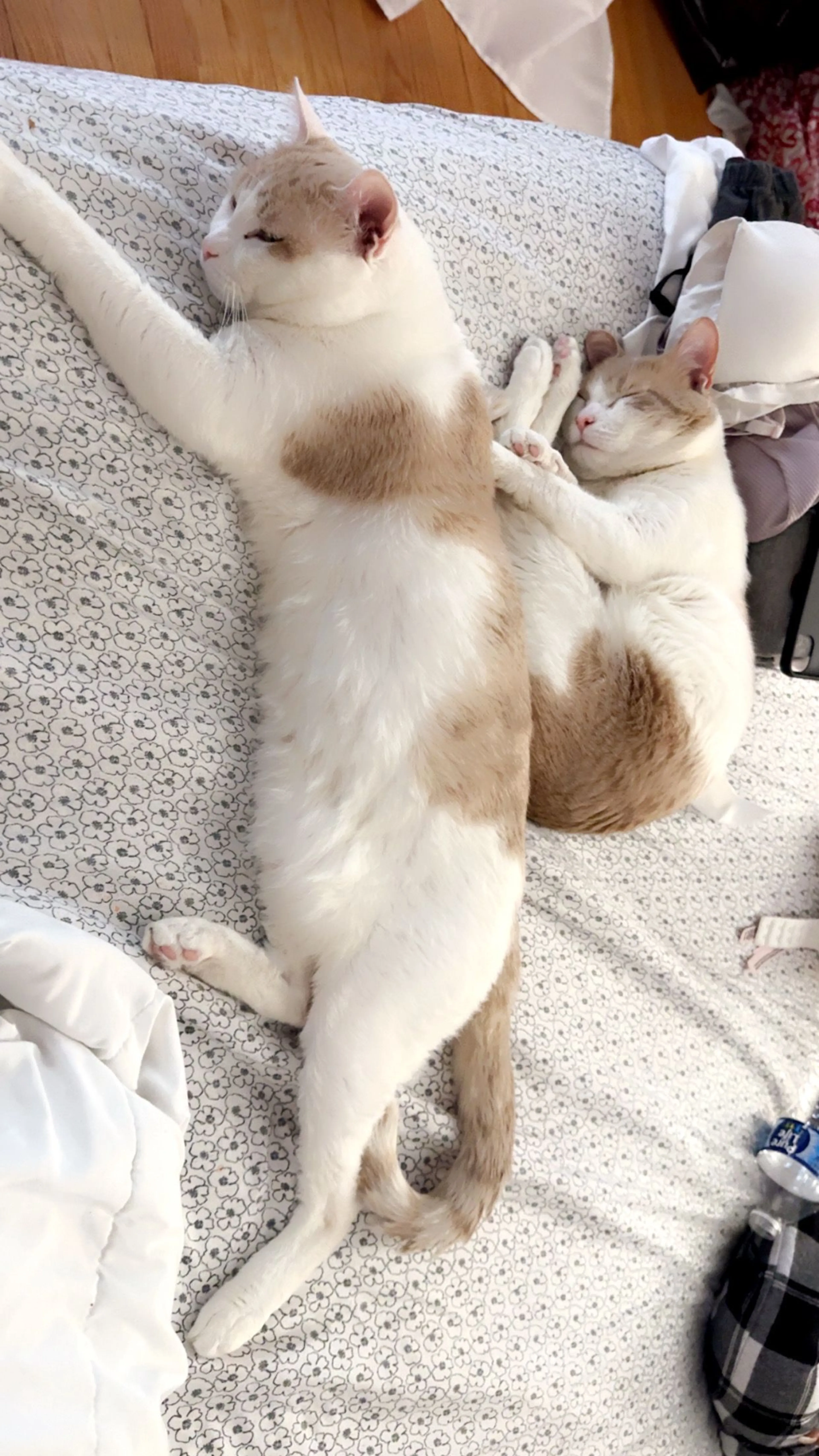 -2
