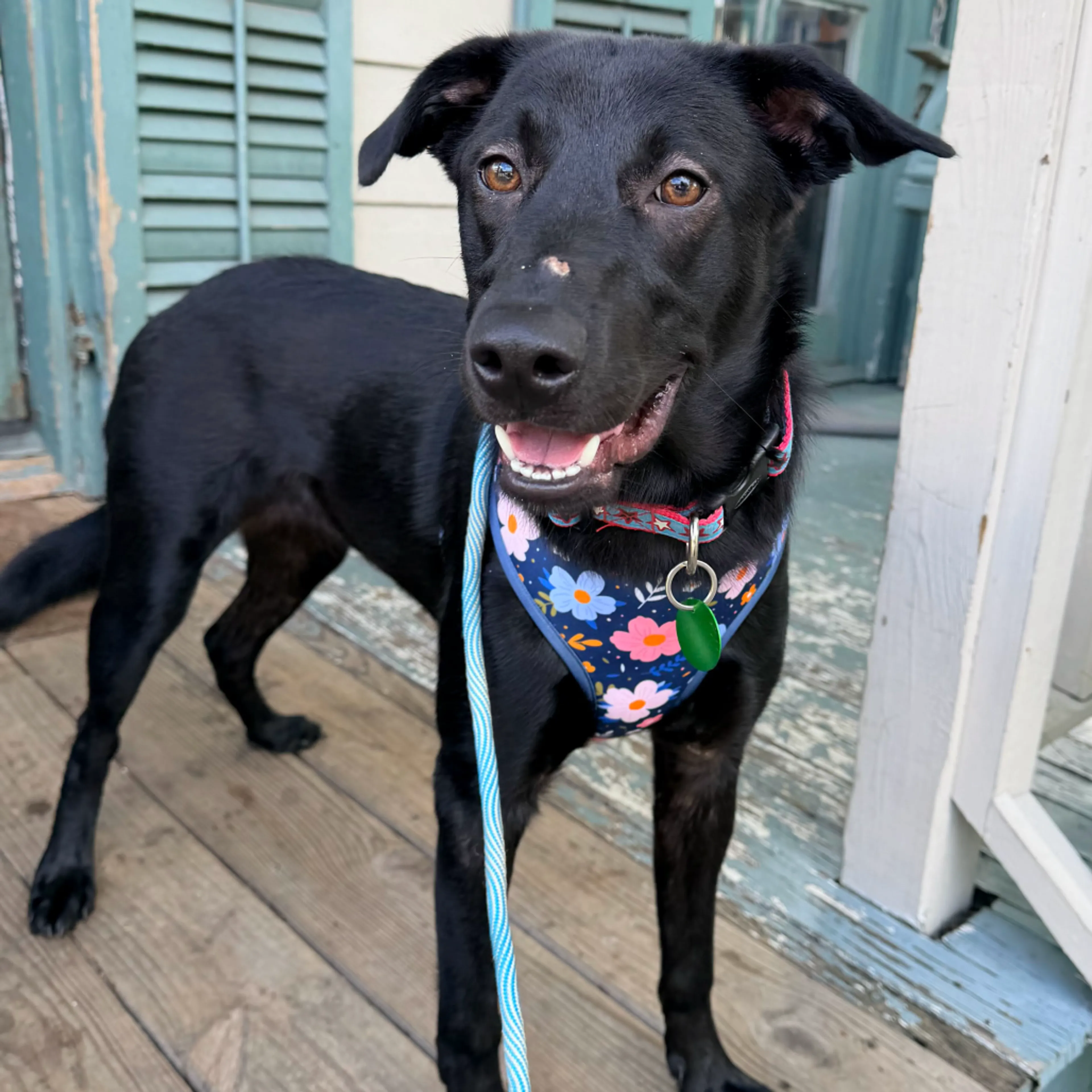 -0