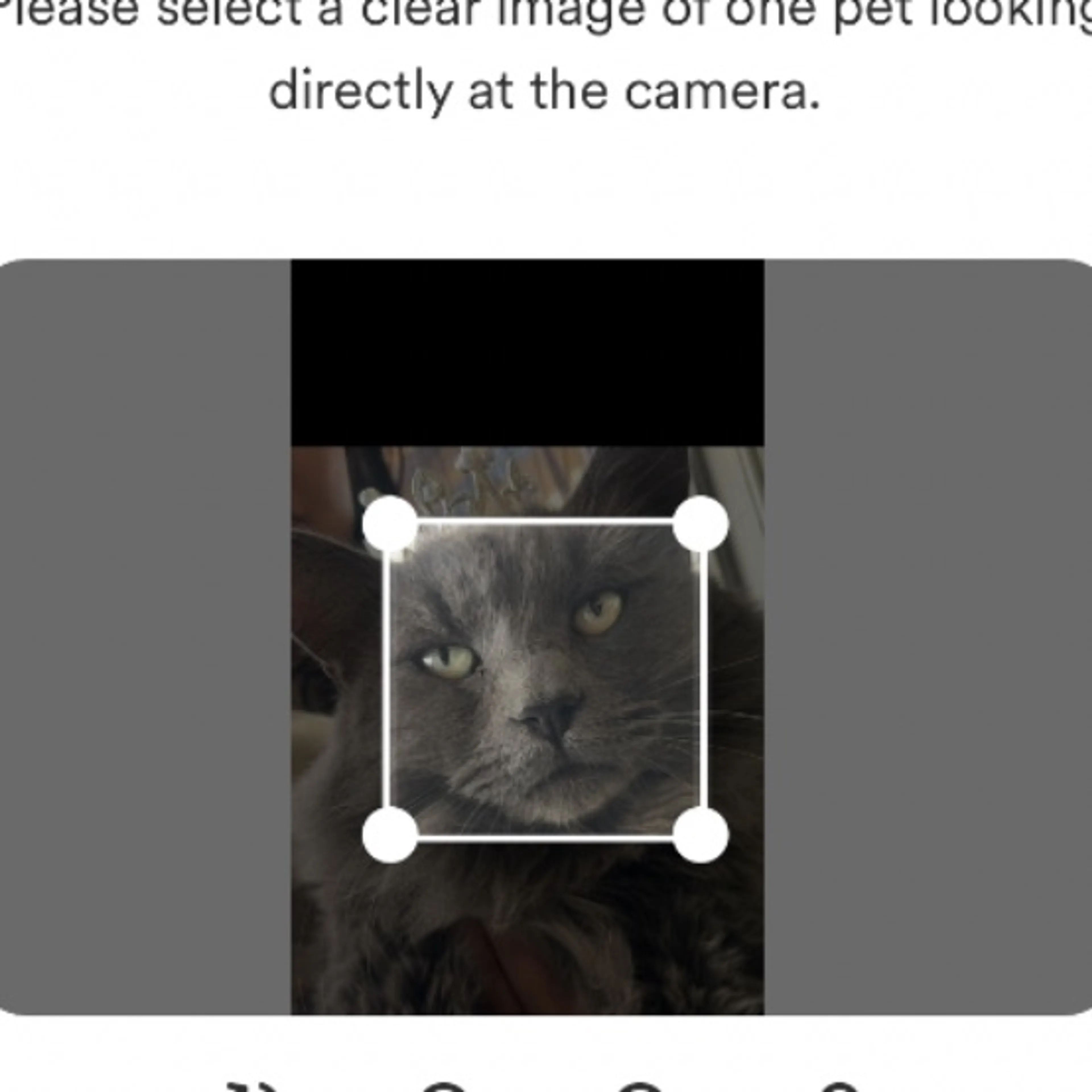 cdn image