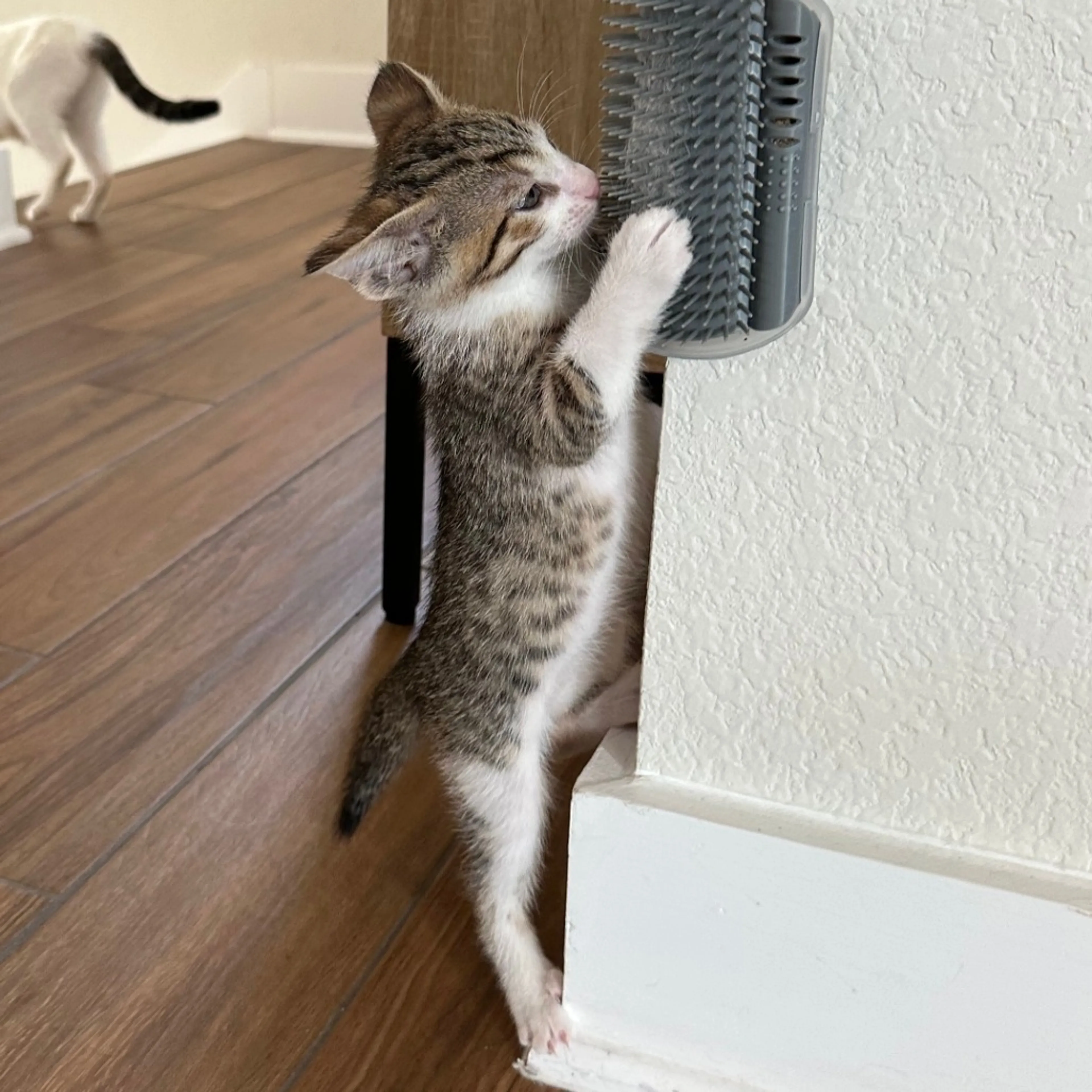 -2