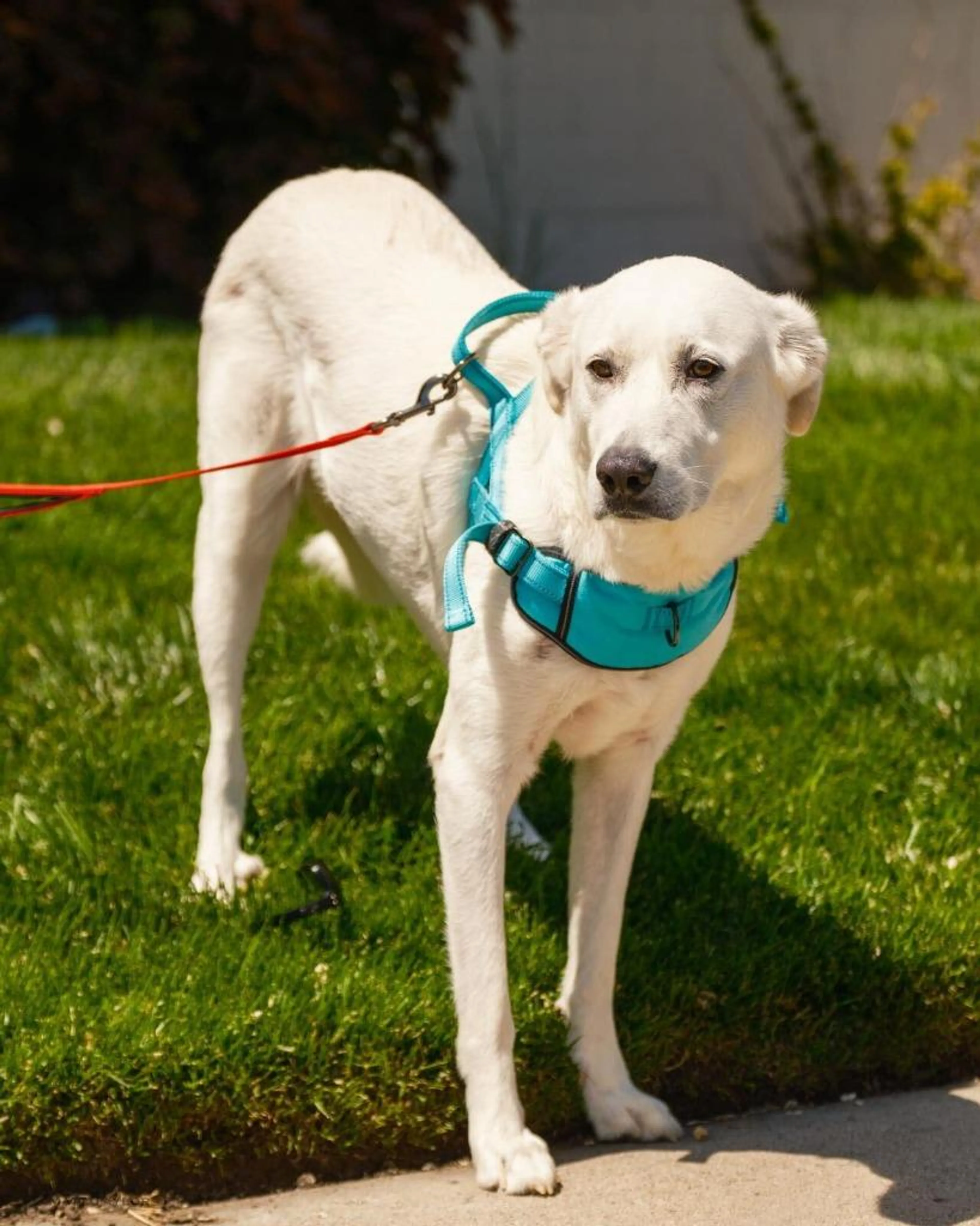 -1