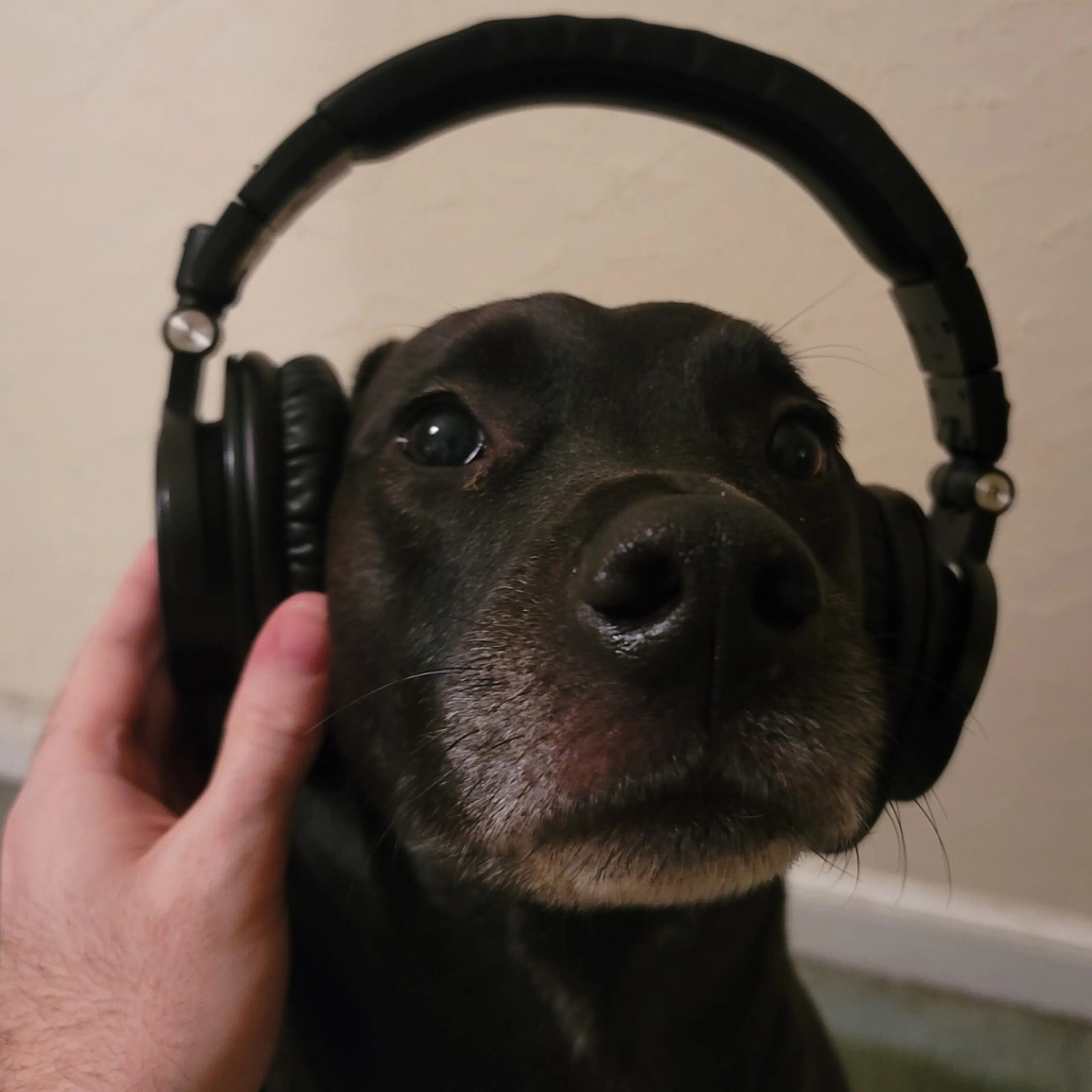 -11