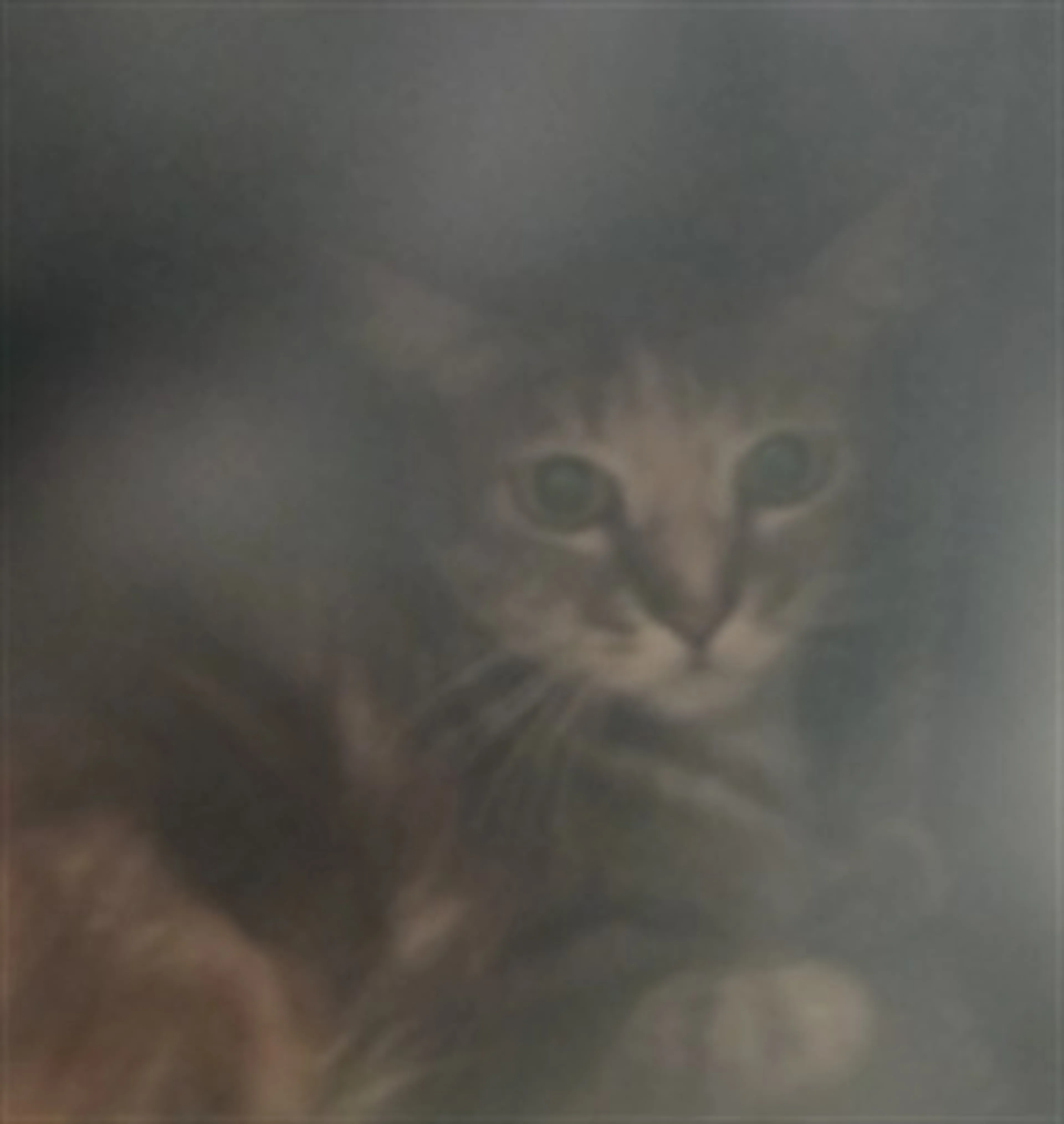 cdn image