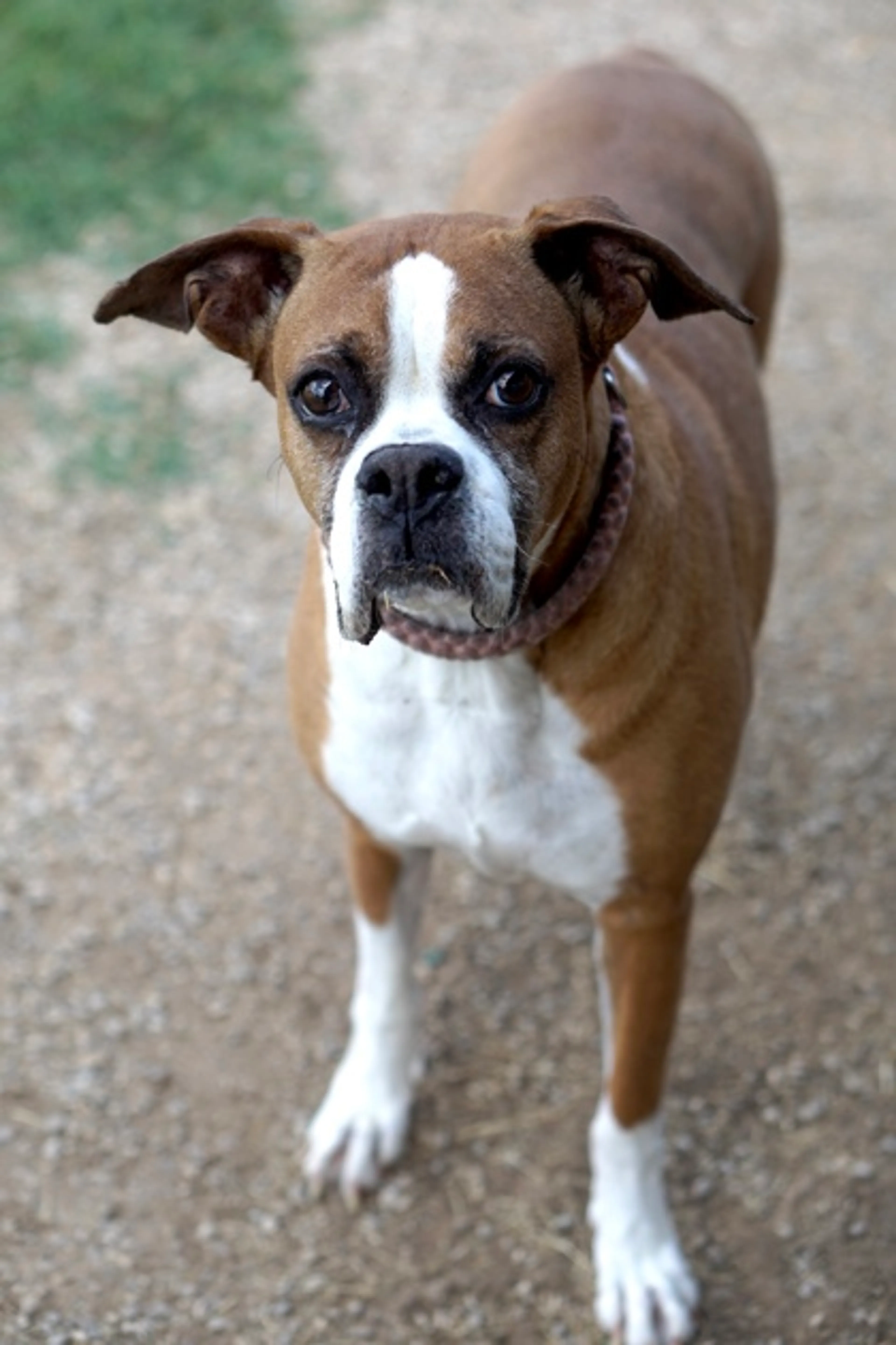 -1